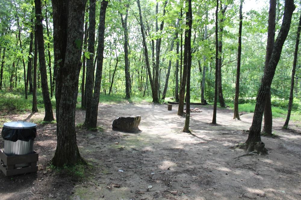 DSP Primitive Campground