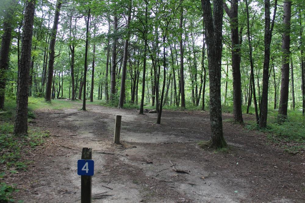 DSP Primitive Campground