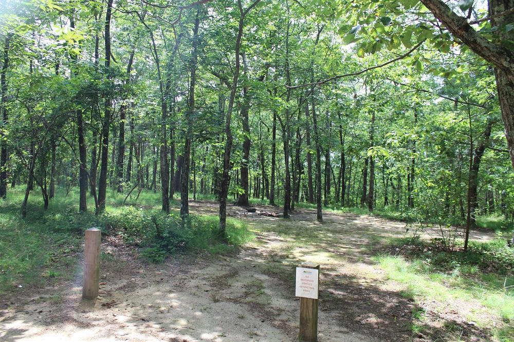 DSP Primitive Campground