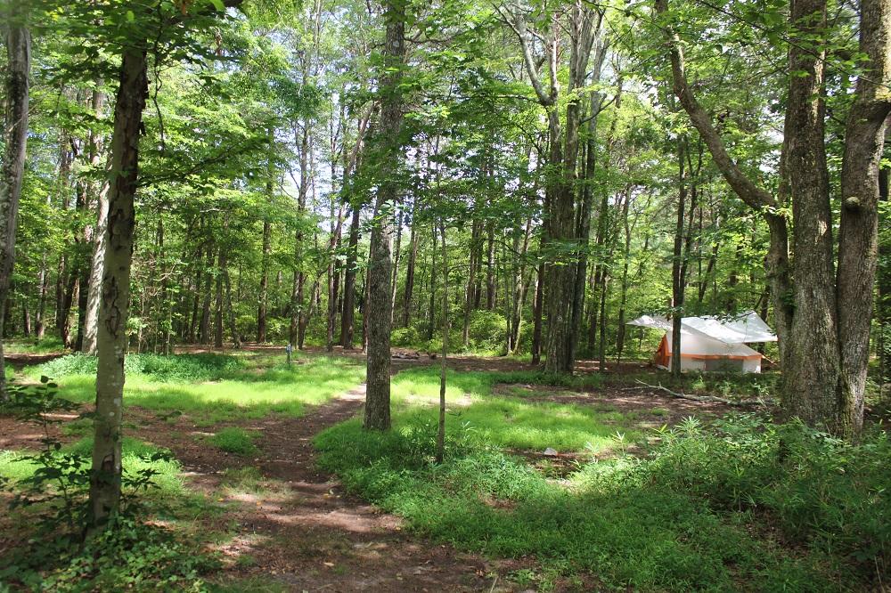 DSP Primitive Campground