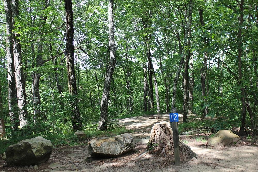 DSP Primitive Campground