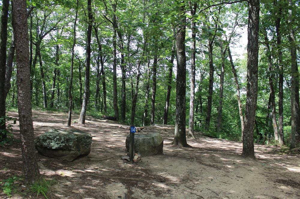 Primitive Campsites | Alapark