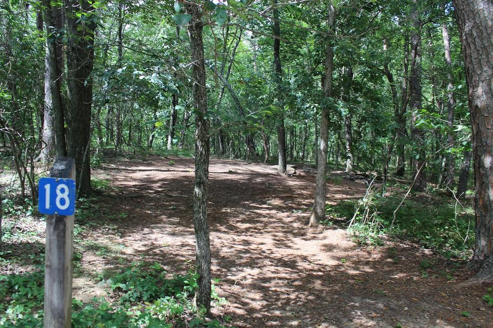 DSP Primitive Campground
