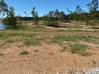 JWSP - Aug 17
