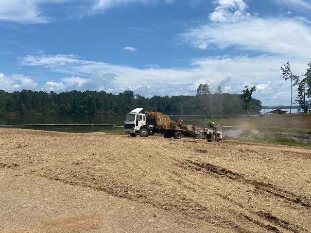 JWSP - Seeding
