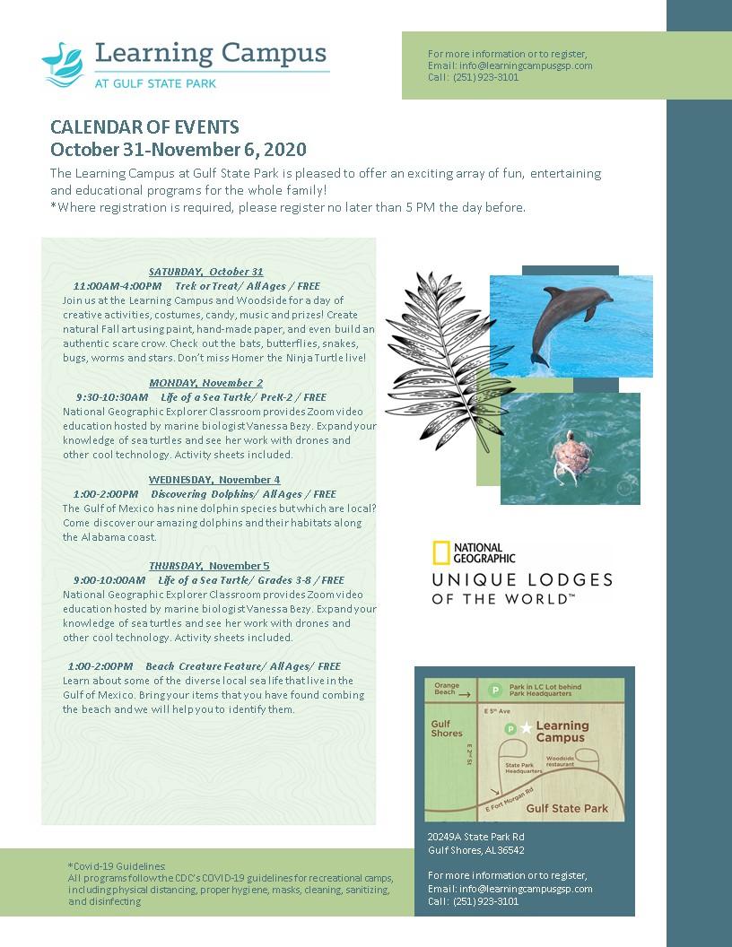 Flyer with images of a dolphin and a sea turtle