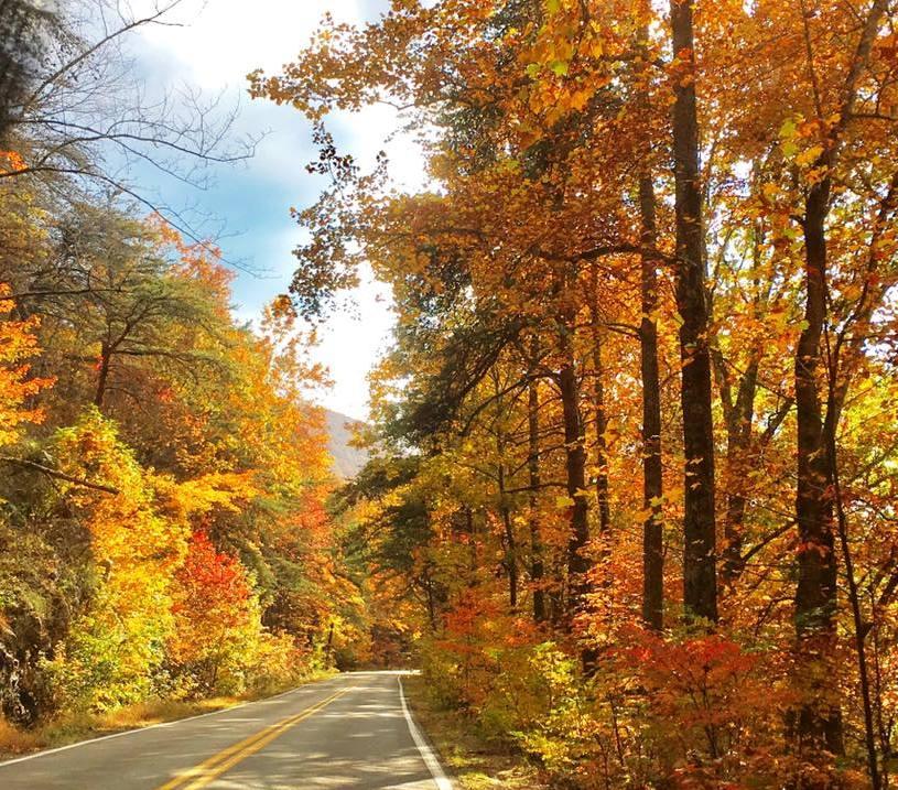 Cheaha State Park Fall Foliage