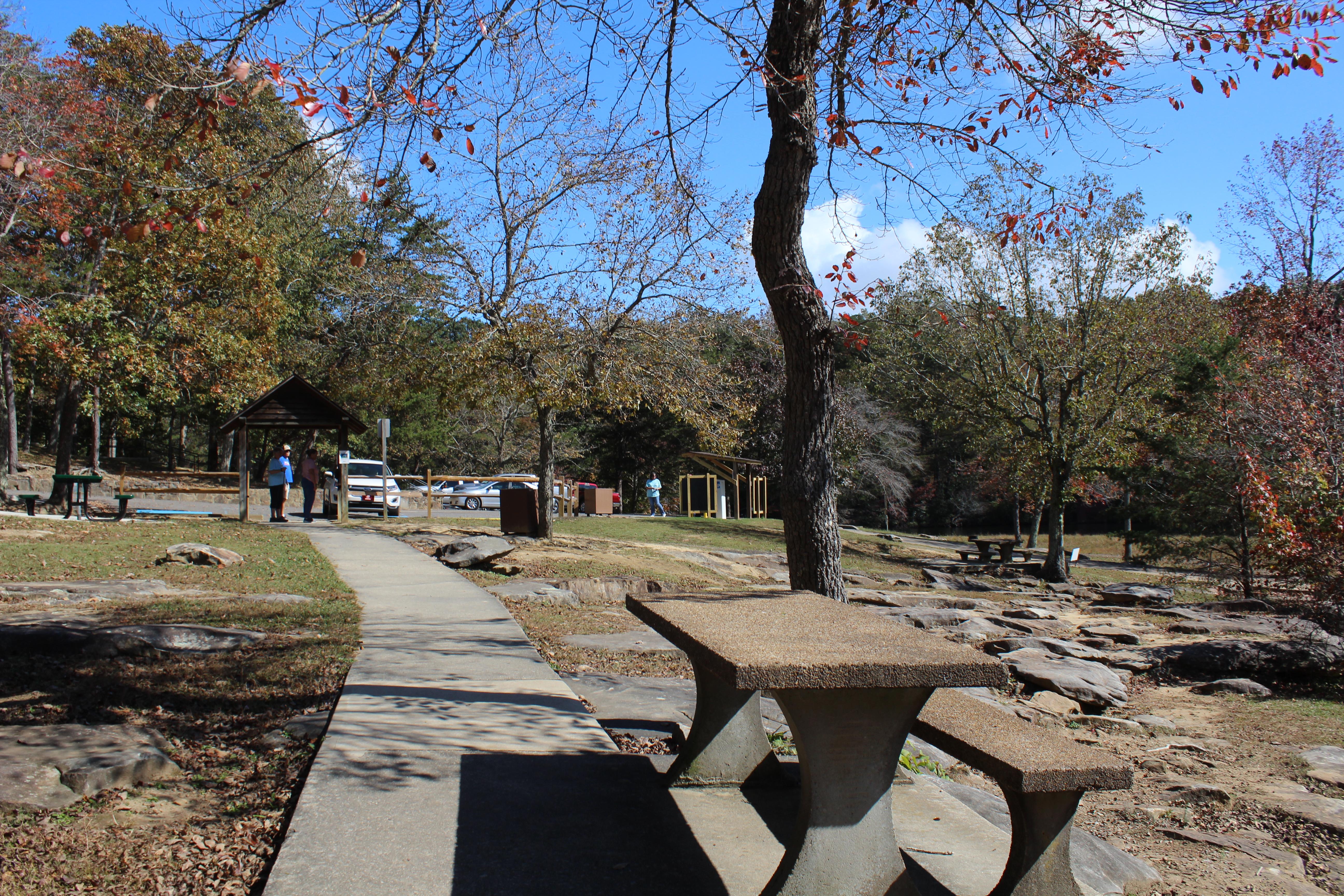 DSP DeSoto Falls Picnic Area Fall