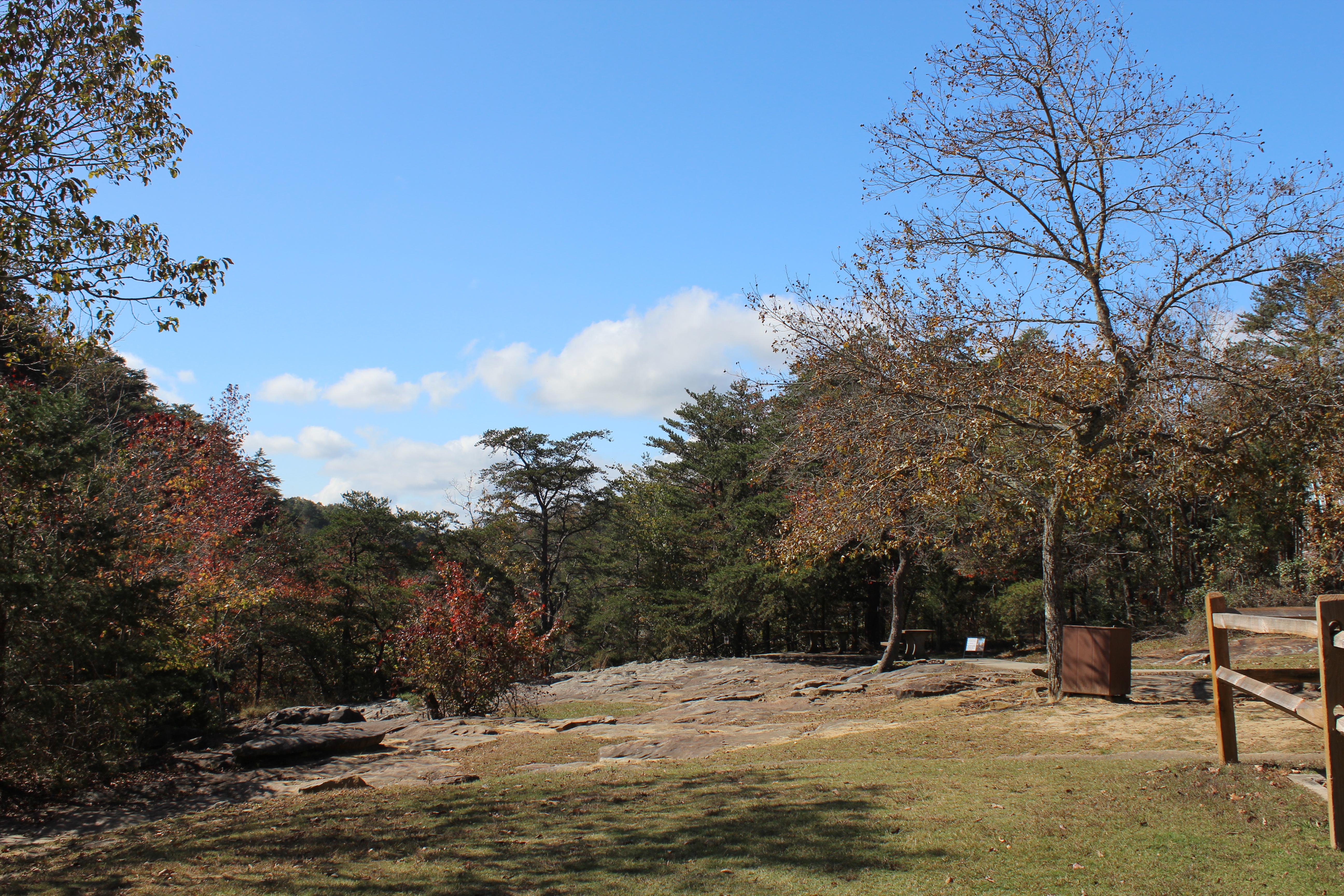 DSP DeSoto Falls Picnic Area Fall