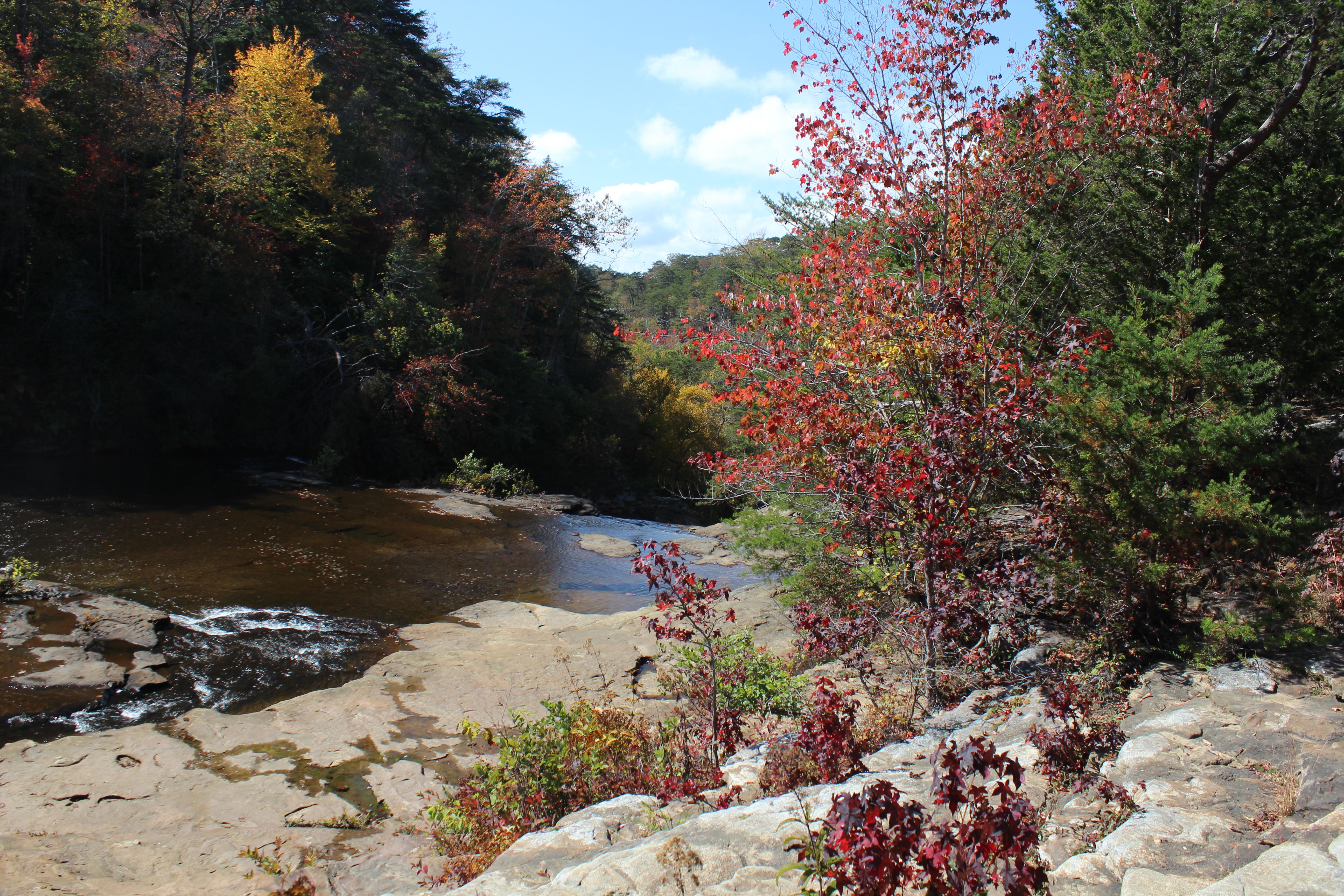 DSP DeSoto Falls Picnic Area Fall 