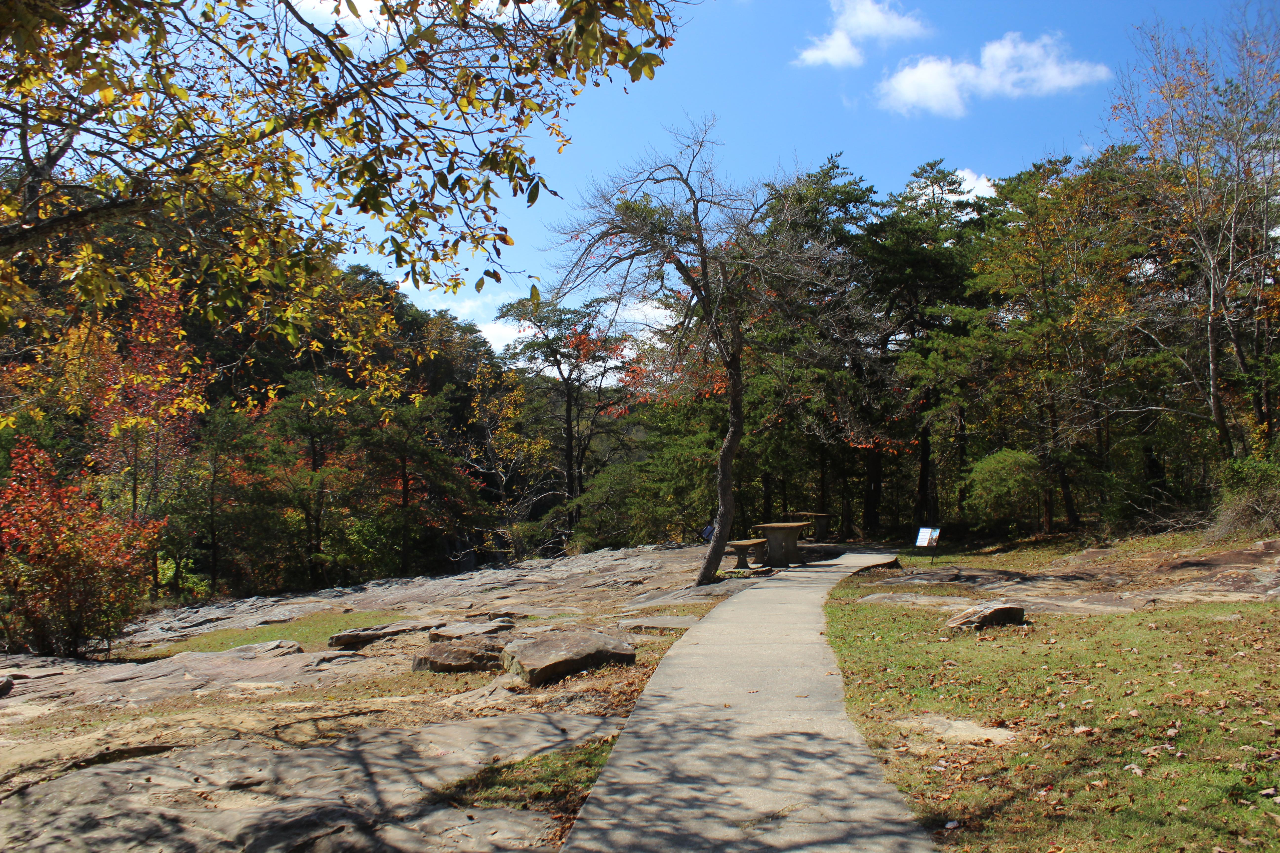 DSP DeSoto Falls Picnic Area Fall (1)