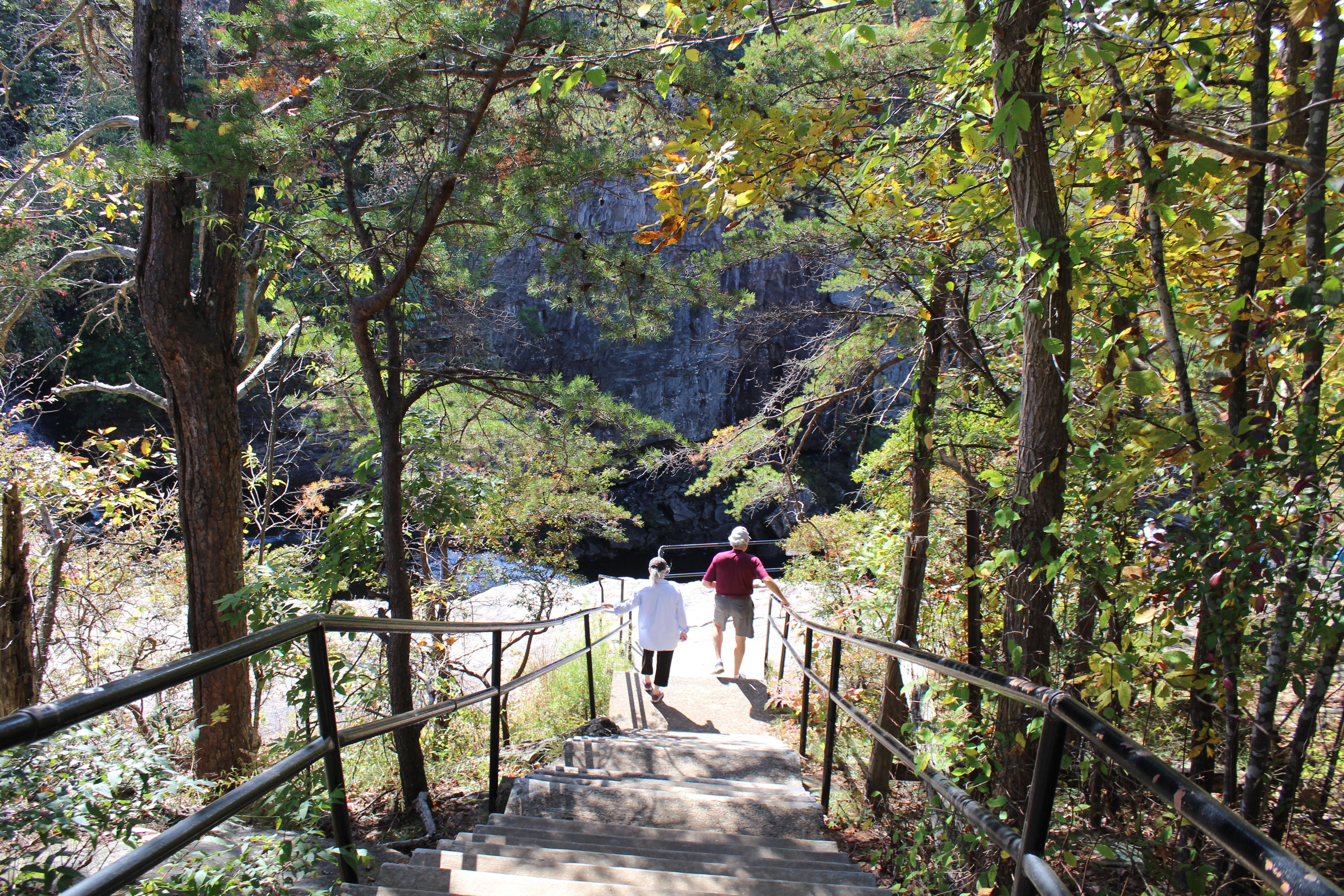 DSP DeSoto Falls Picnic Area Fall