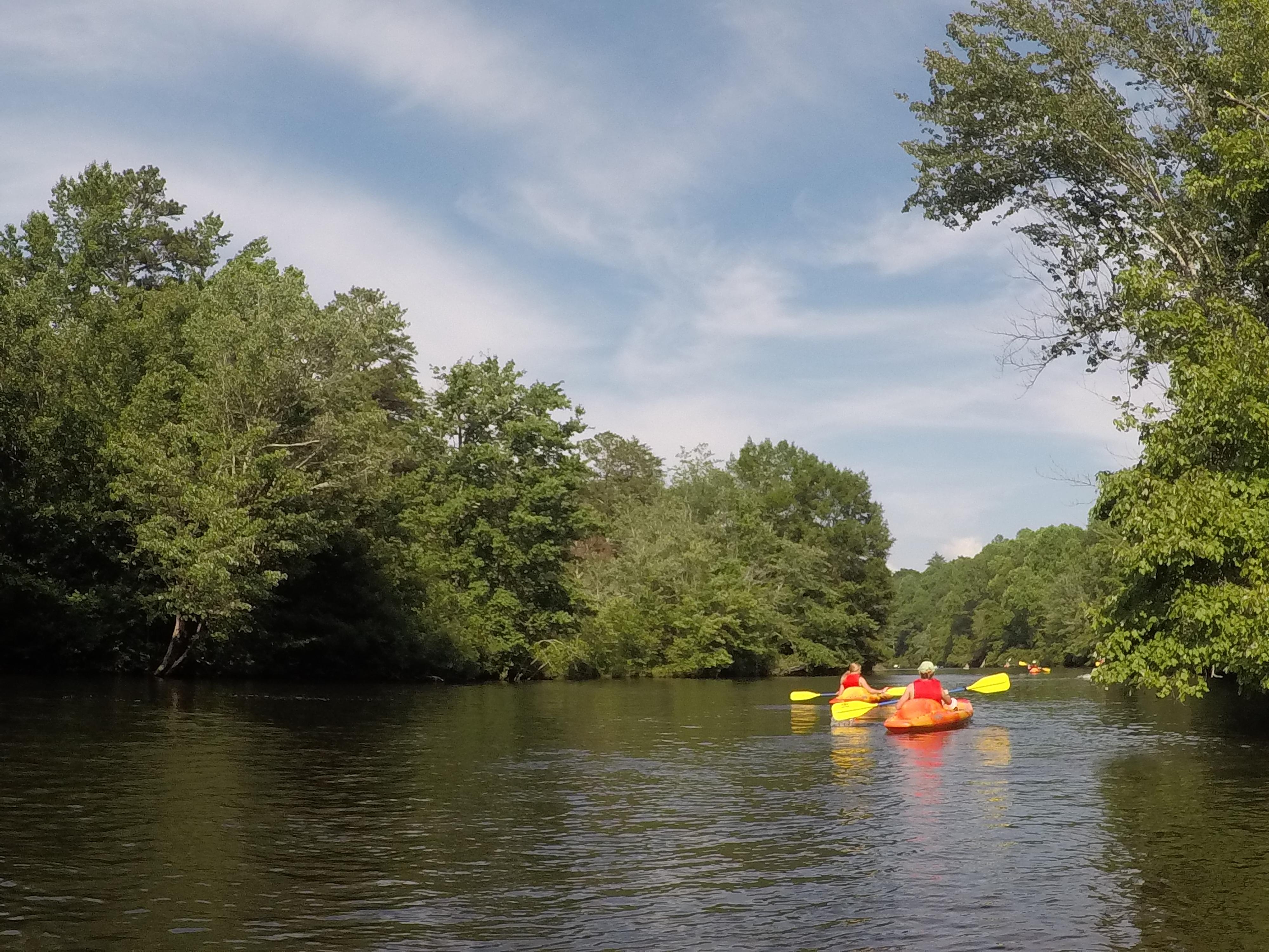 DSP Little River Summer