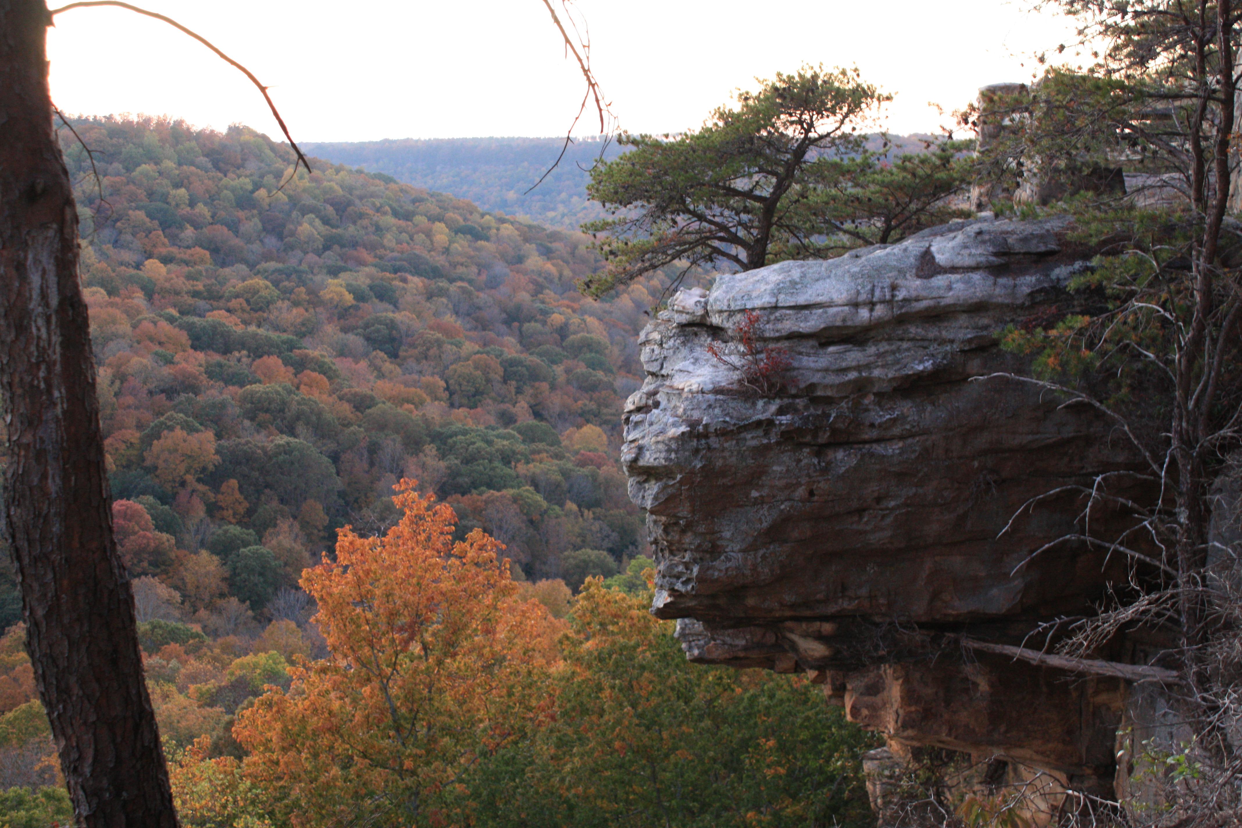 Buck's Pocket Overlook B M Hughes (4)