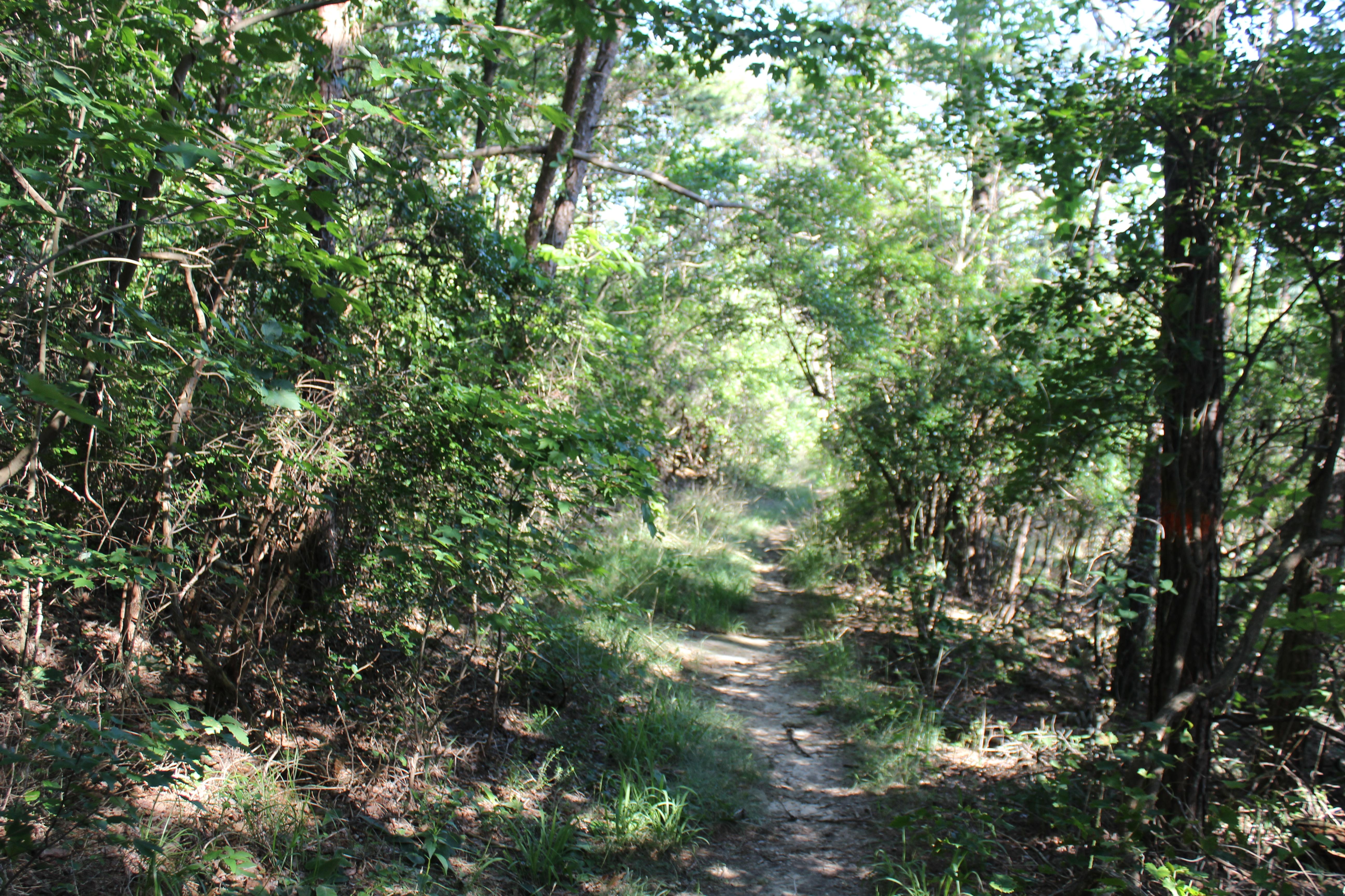 Buck's Pocket Hiking Trail