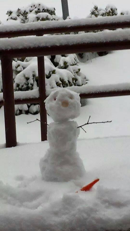 Winter 2016