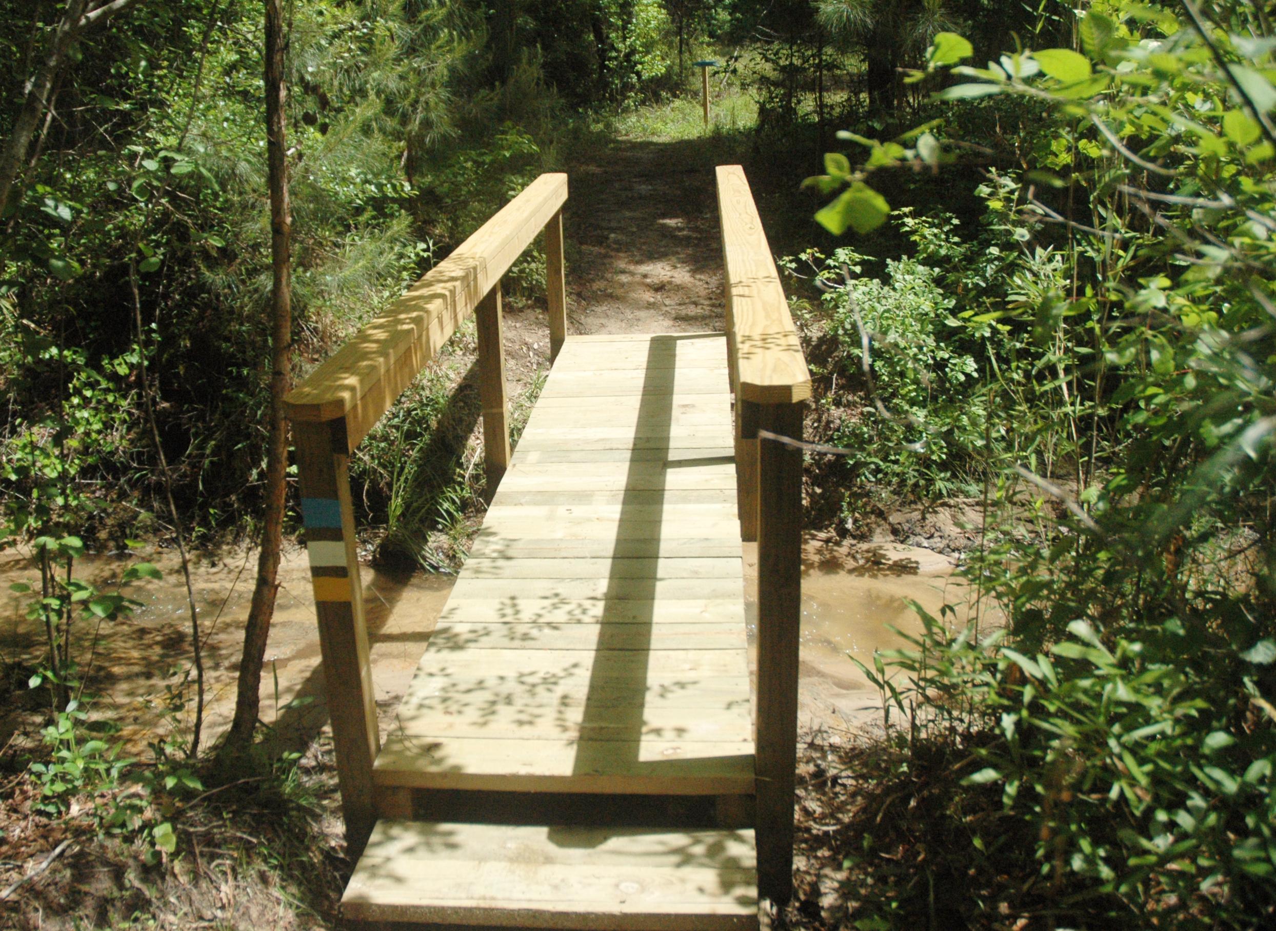 Blue Springs State Park Trails