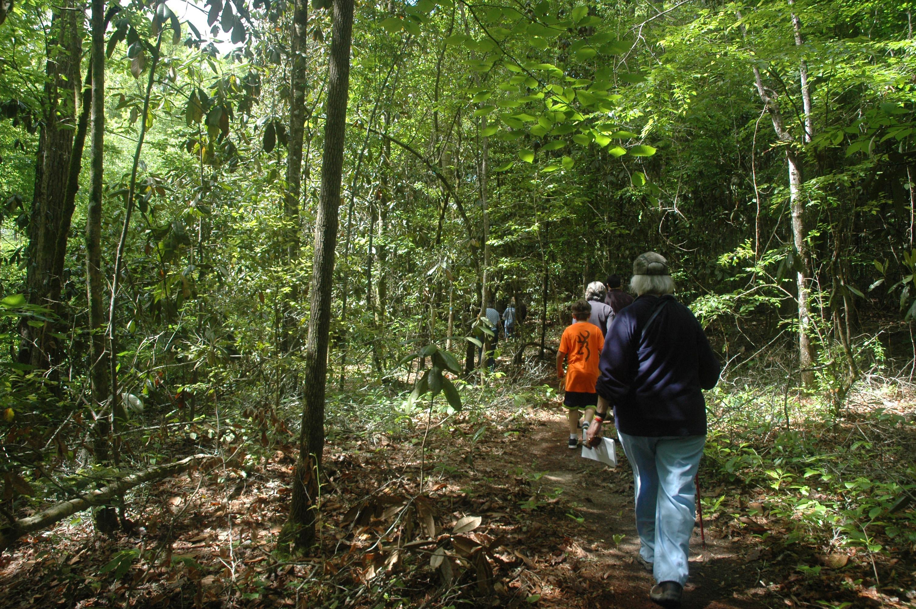Blue Springs State Park Trails