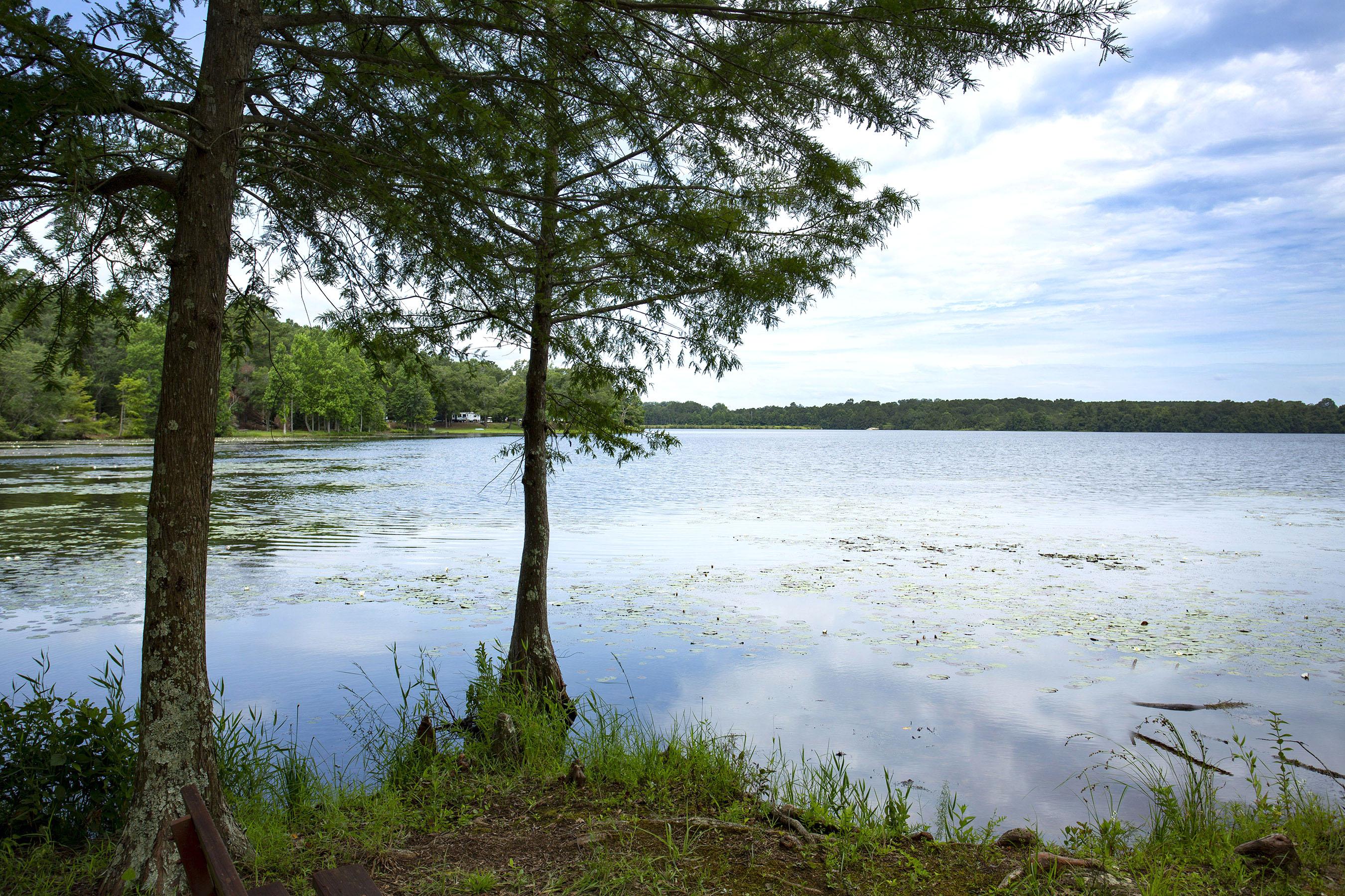Frank Jackson State Park Fishing Lake