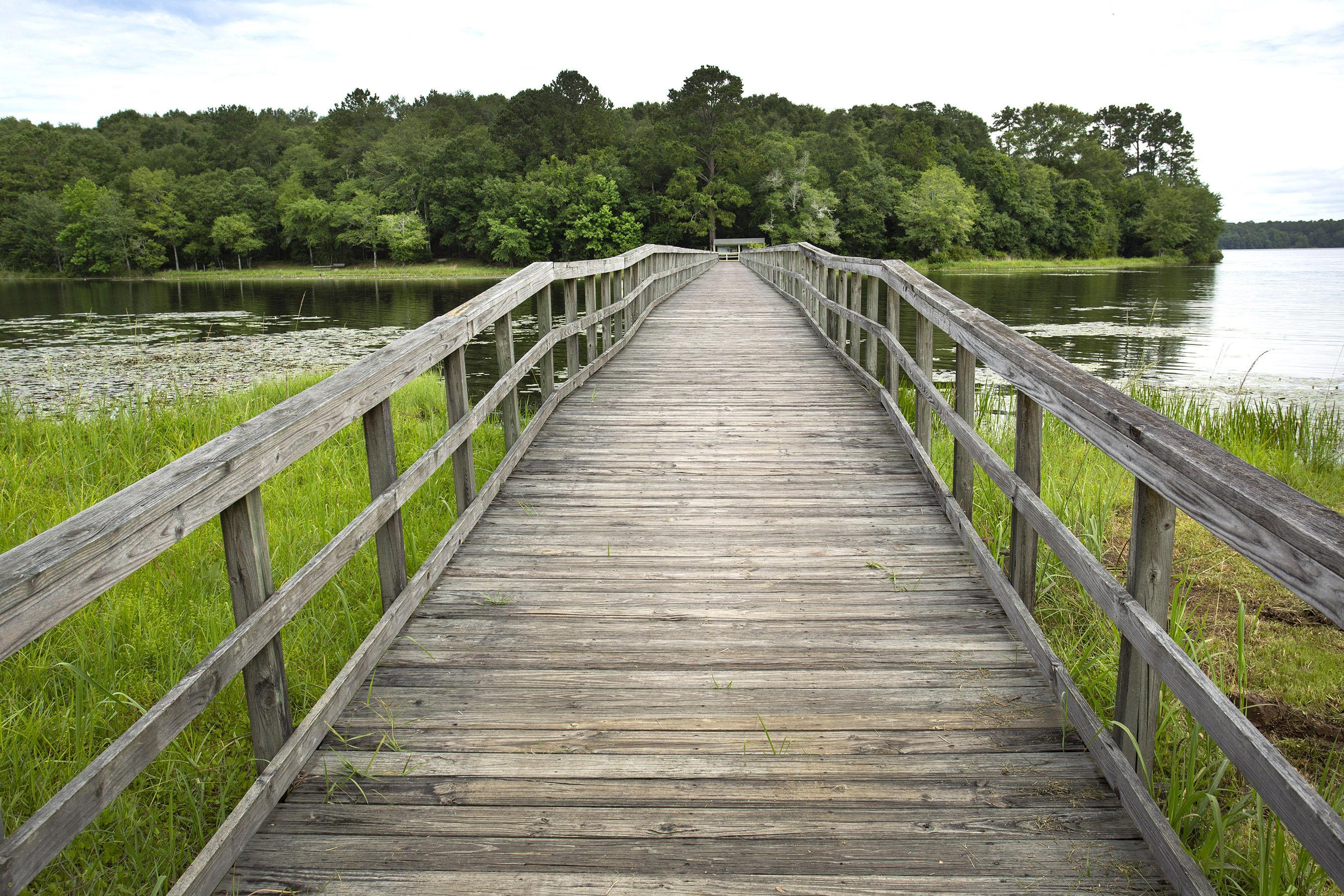 Frank Jackson State Park Trails