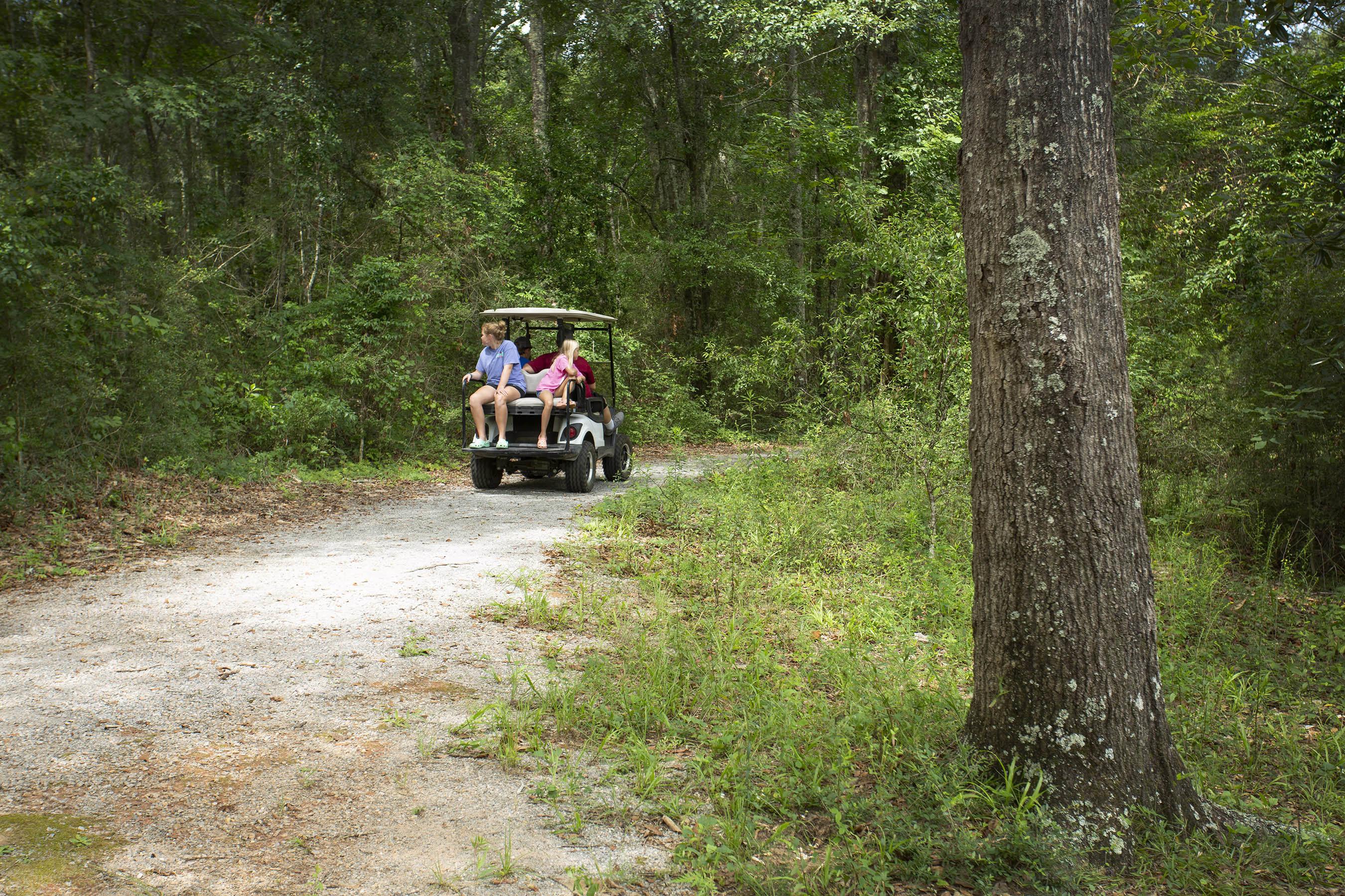 Frank Jackson State Park Trails