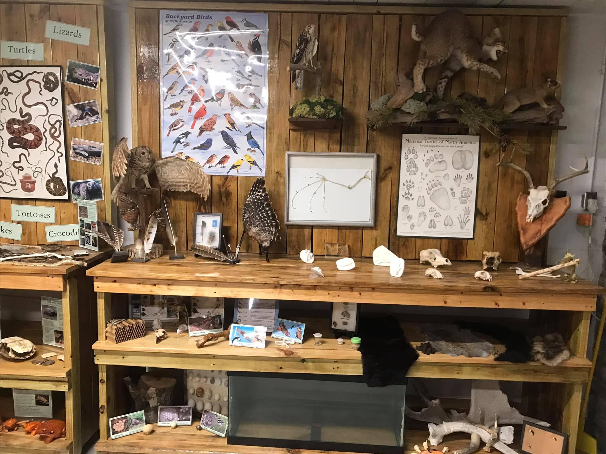 CSP Interpretive Center 10