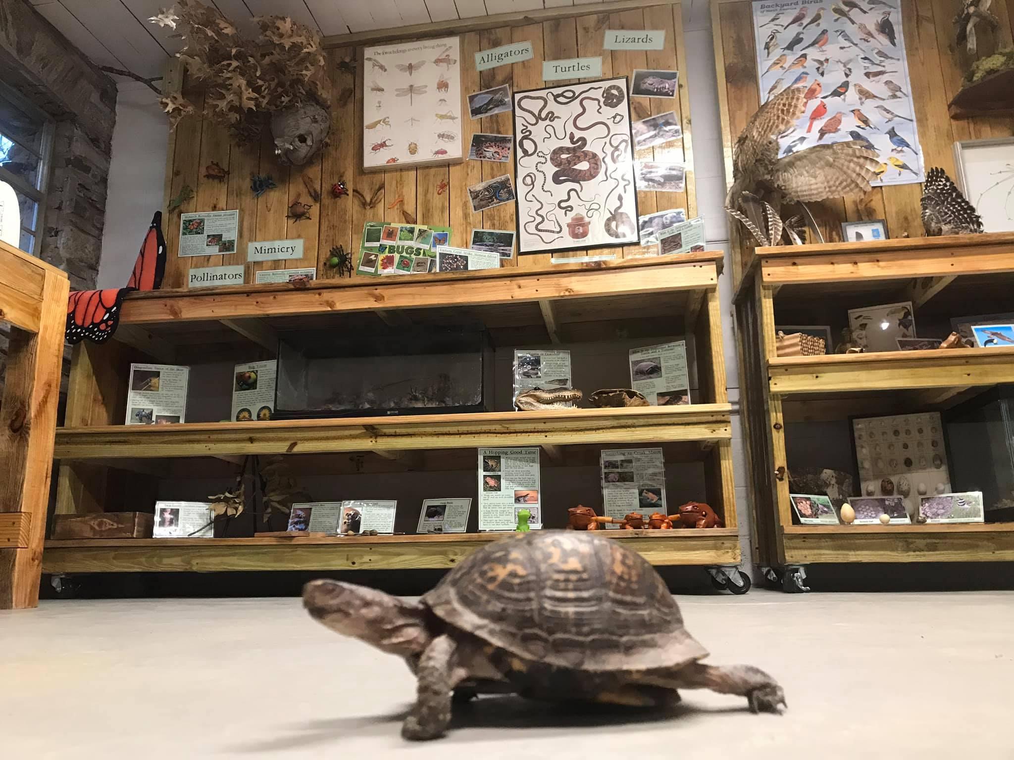 CSP Interpretive Center 8