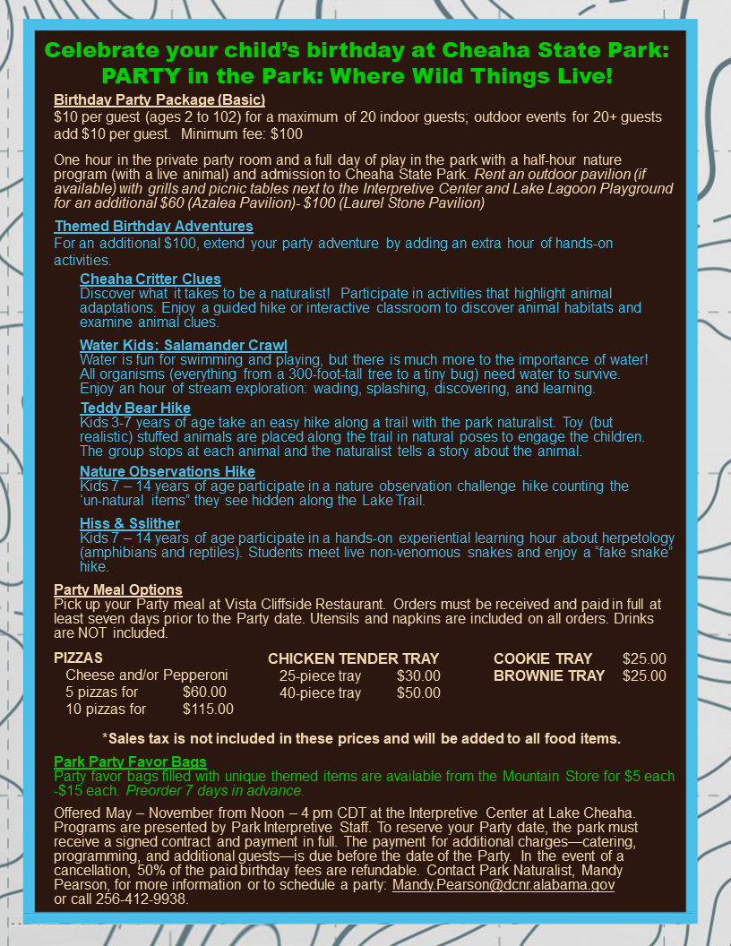 CSP Birthday Party One Pager