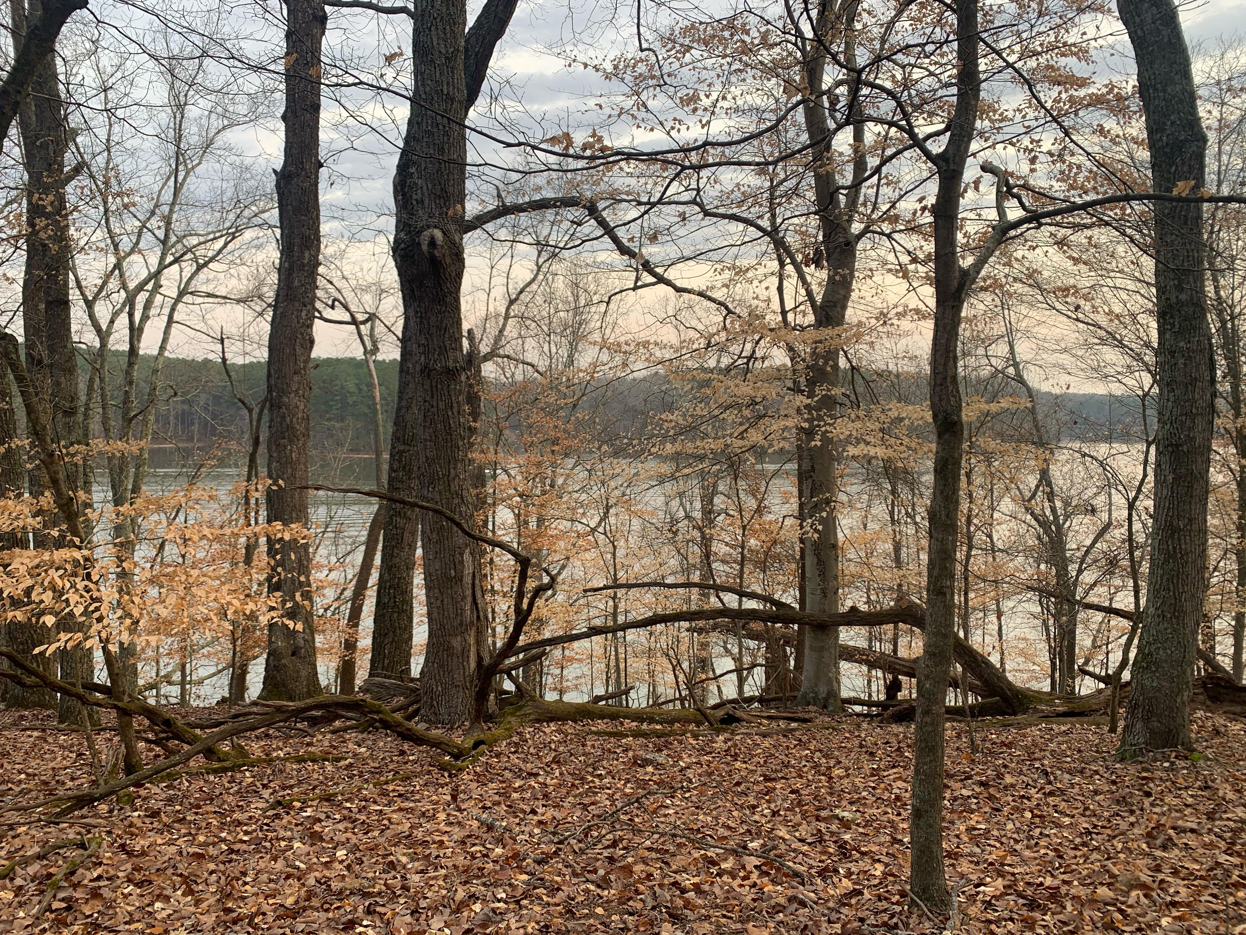 Hike