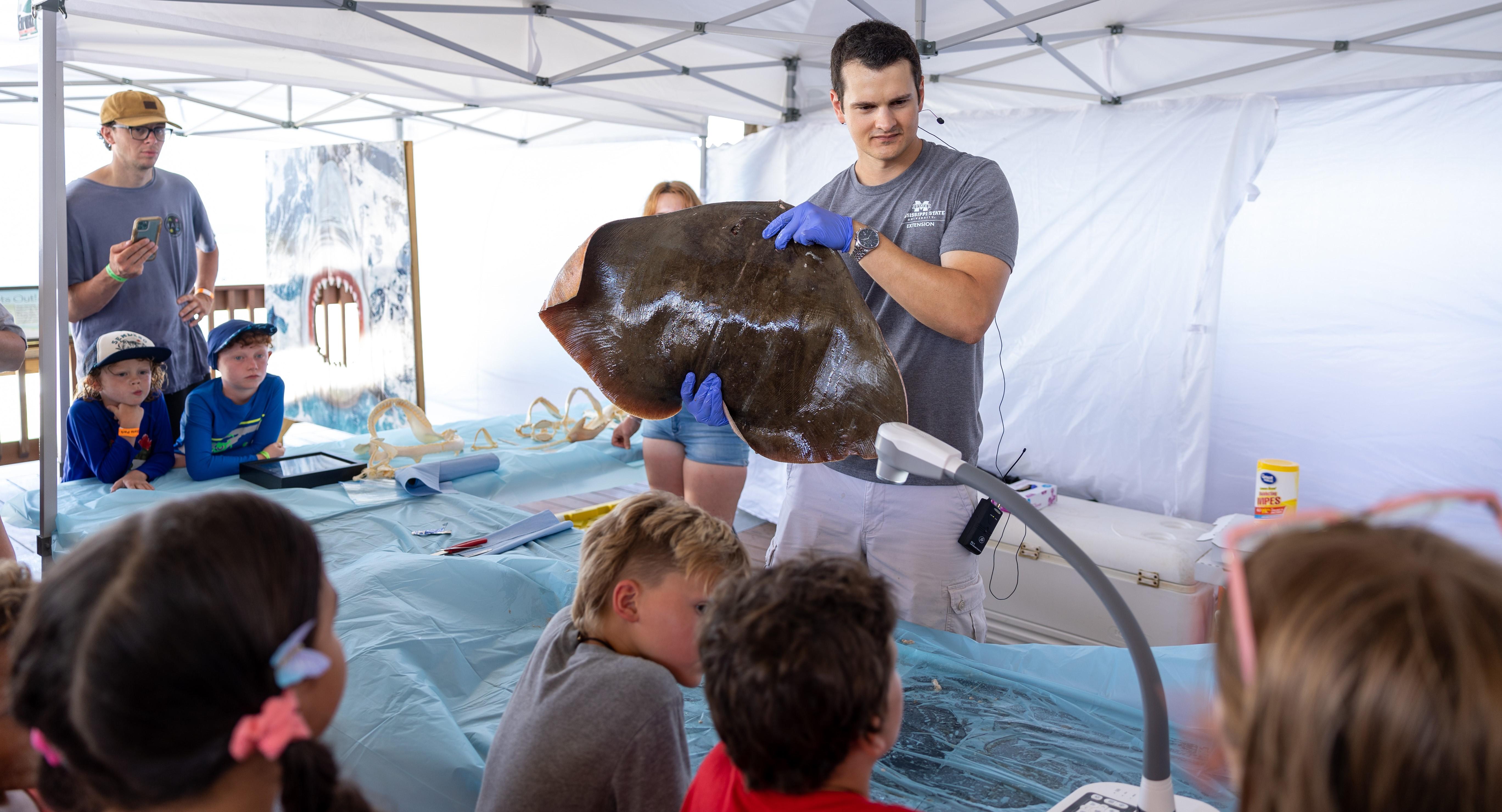 GSP Shark Week by Patricia Moses - MSU Ray Dissection