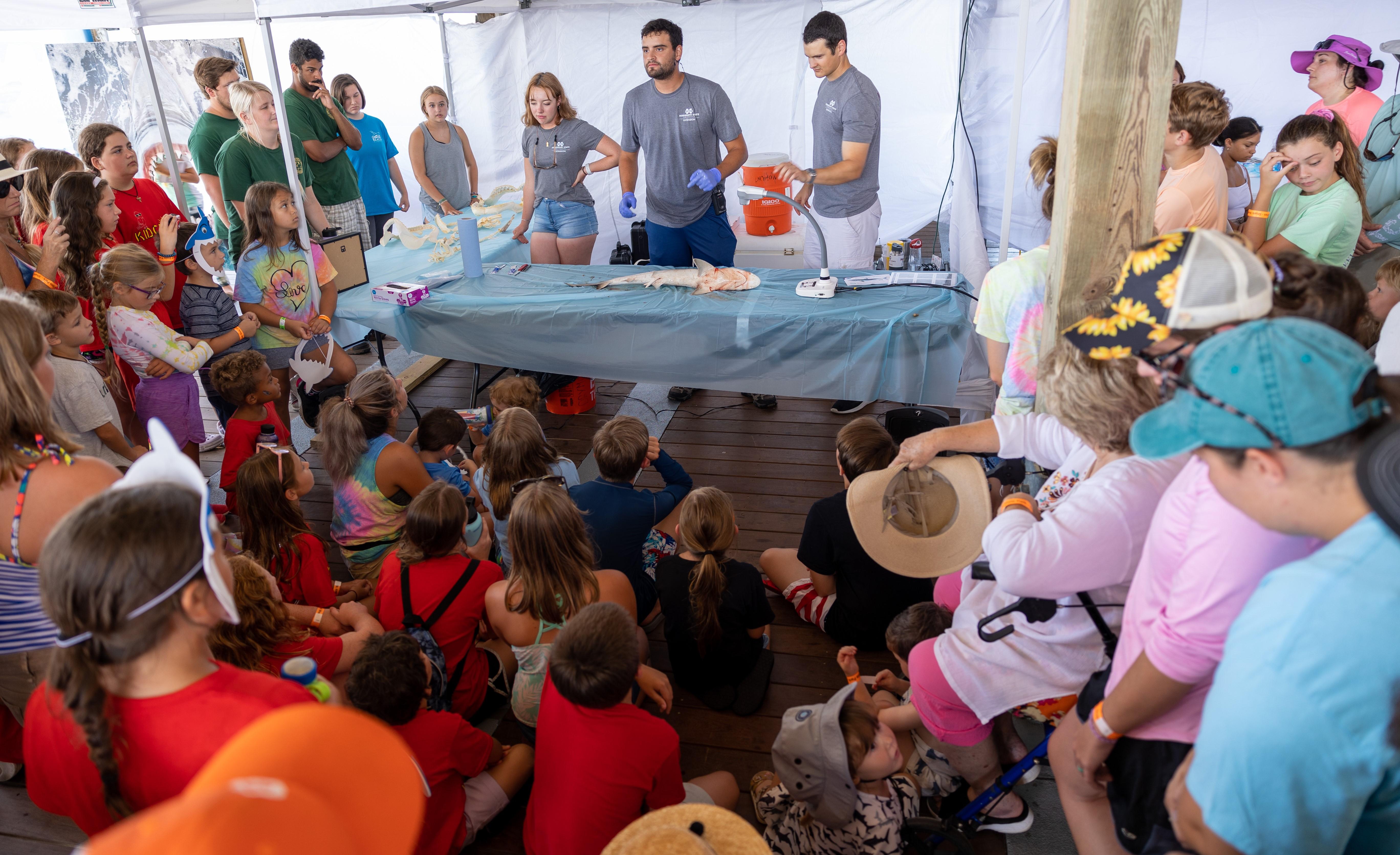 GSP Shark Week by Patricia Moses - MSU Shark Dissection