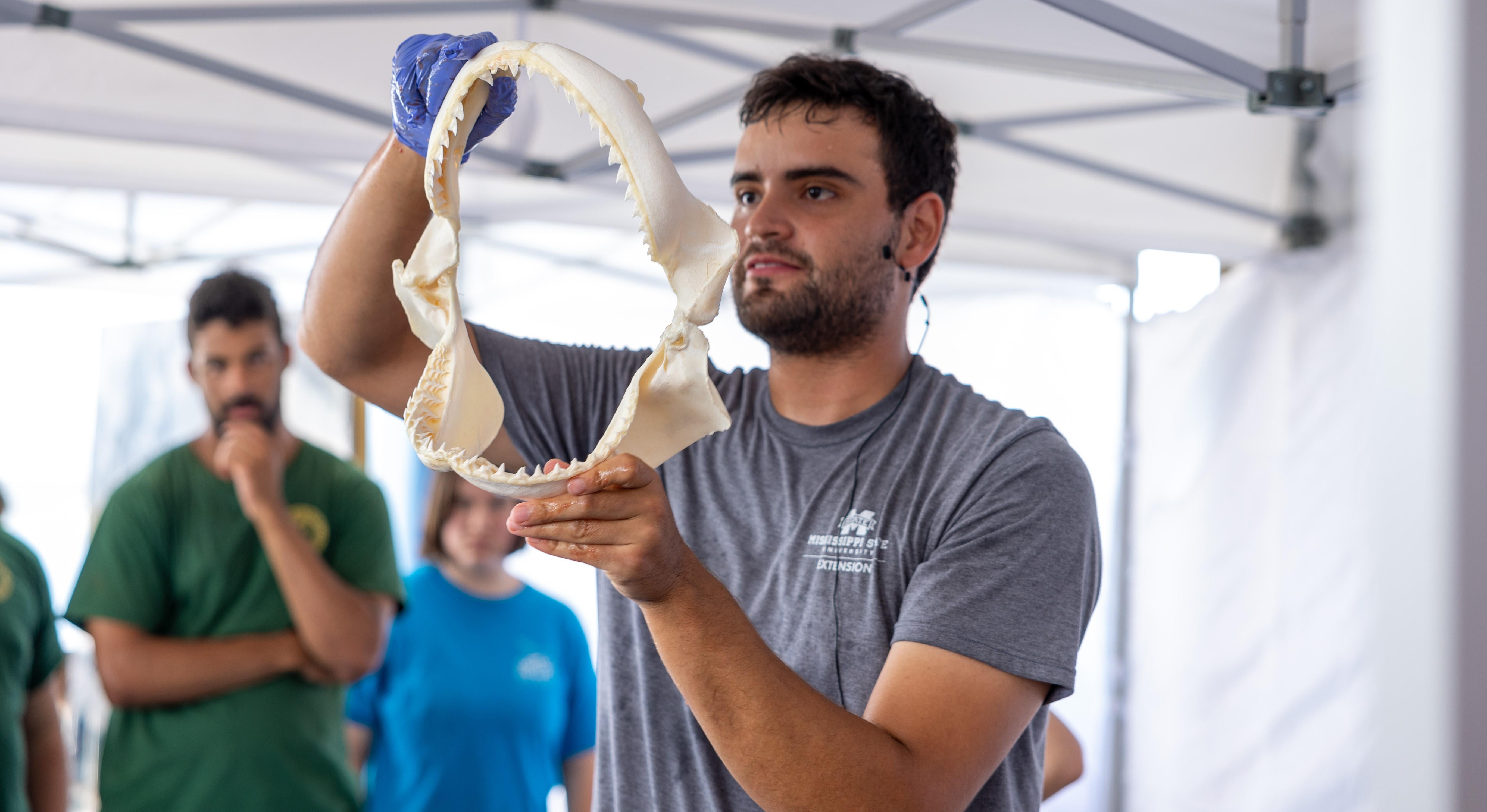 GSP Shark Week by Patricia Moses - MSU Shark Jaw Display
