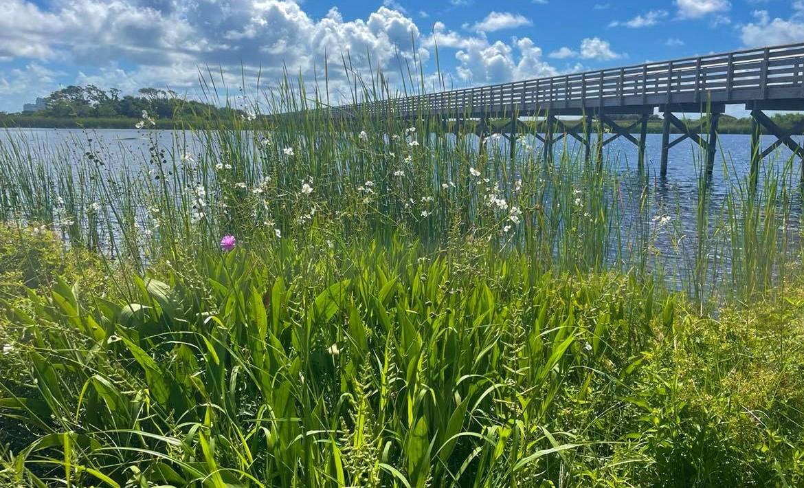 Lake Shelby and Lake Crossing Trail Intersection