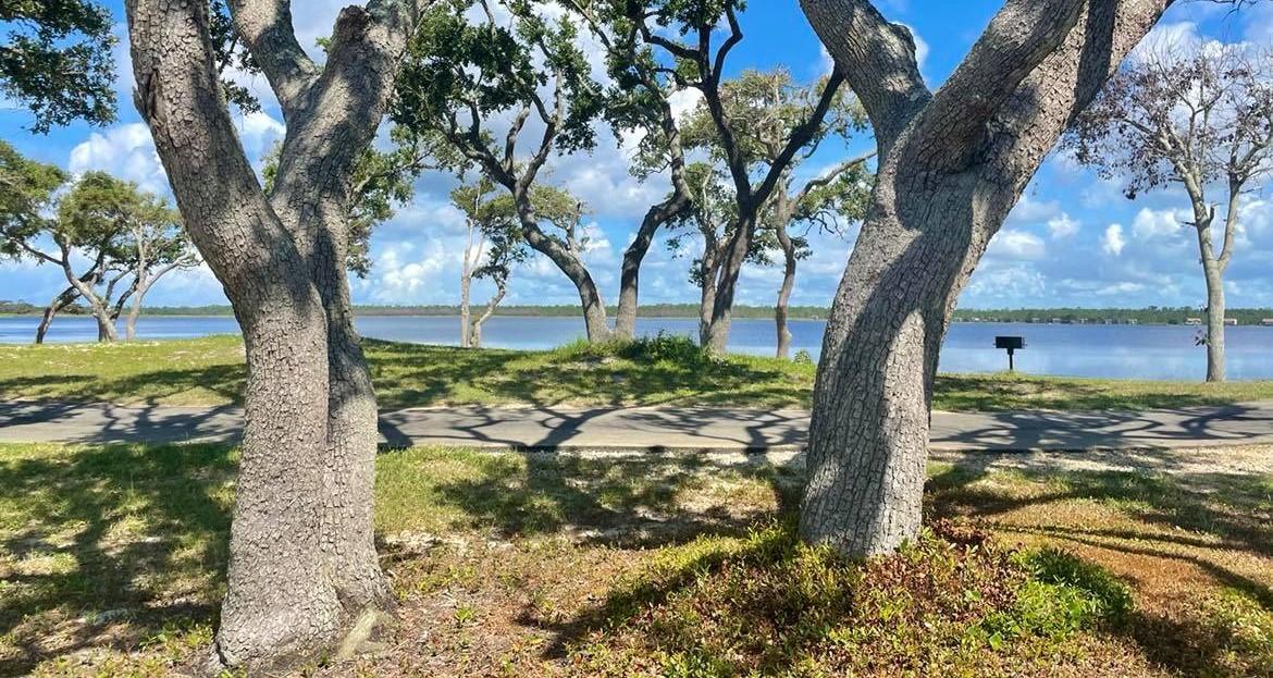 Lake Shelby and Lakeview Trail Shoreline