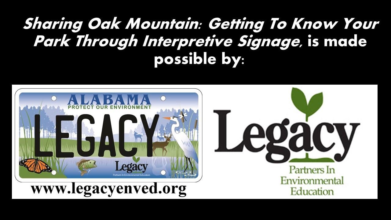 legacy 2