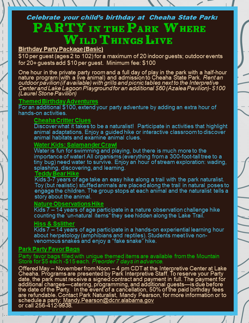 CSP Birthday Party Flyer 2022