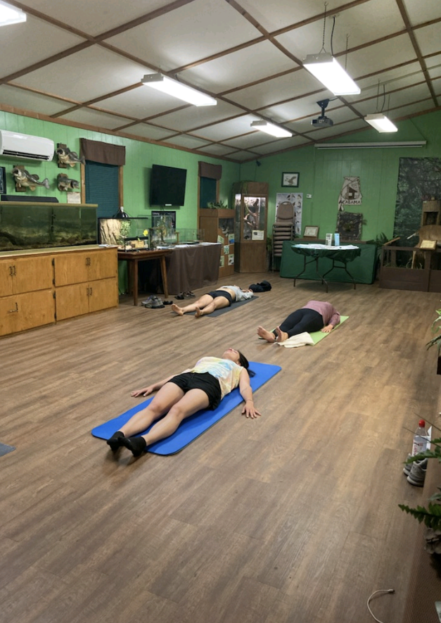 DSP Peace of Mind Yoga