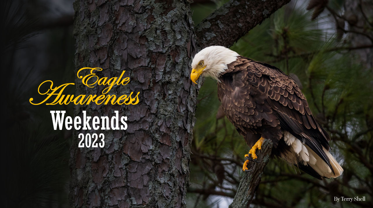 Lake Guntersville State Park Eagle Awareness Weekends