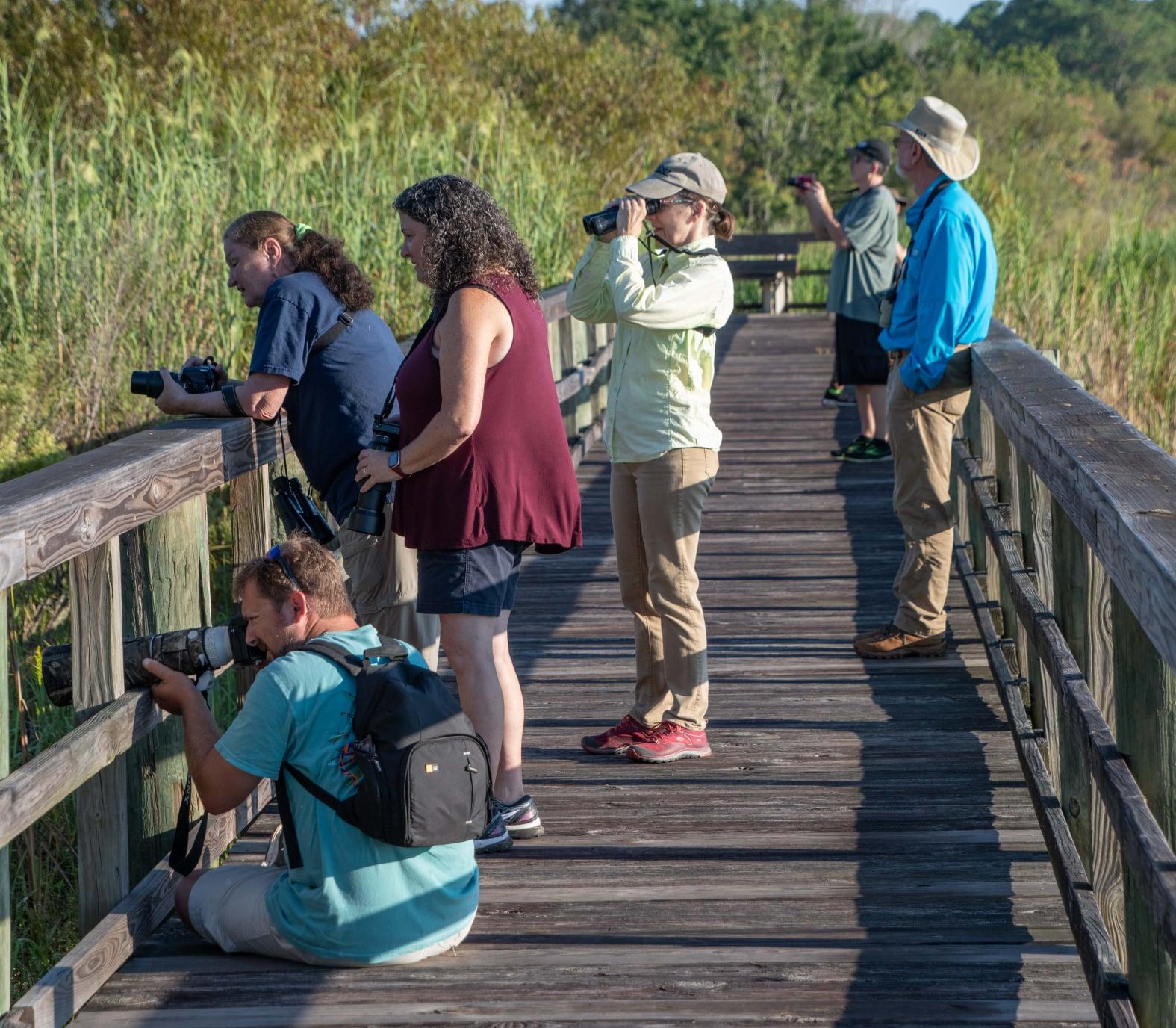 The Year of Alabama Birding in the Alabama State Parks