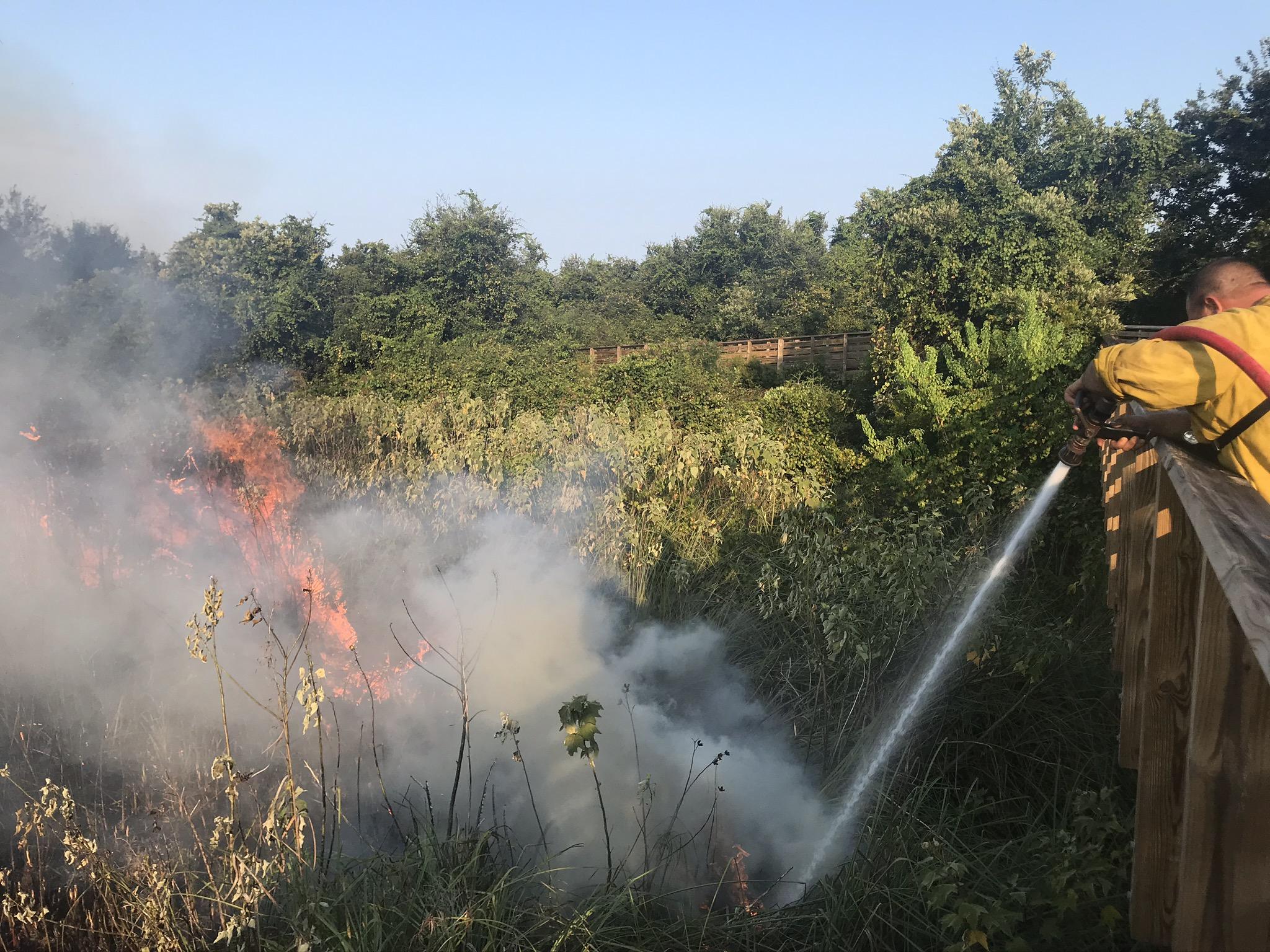 Prescribed Burn Picture 17