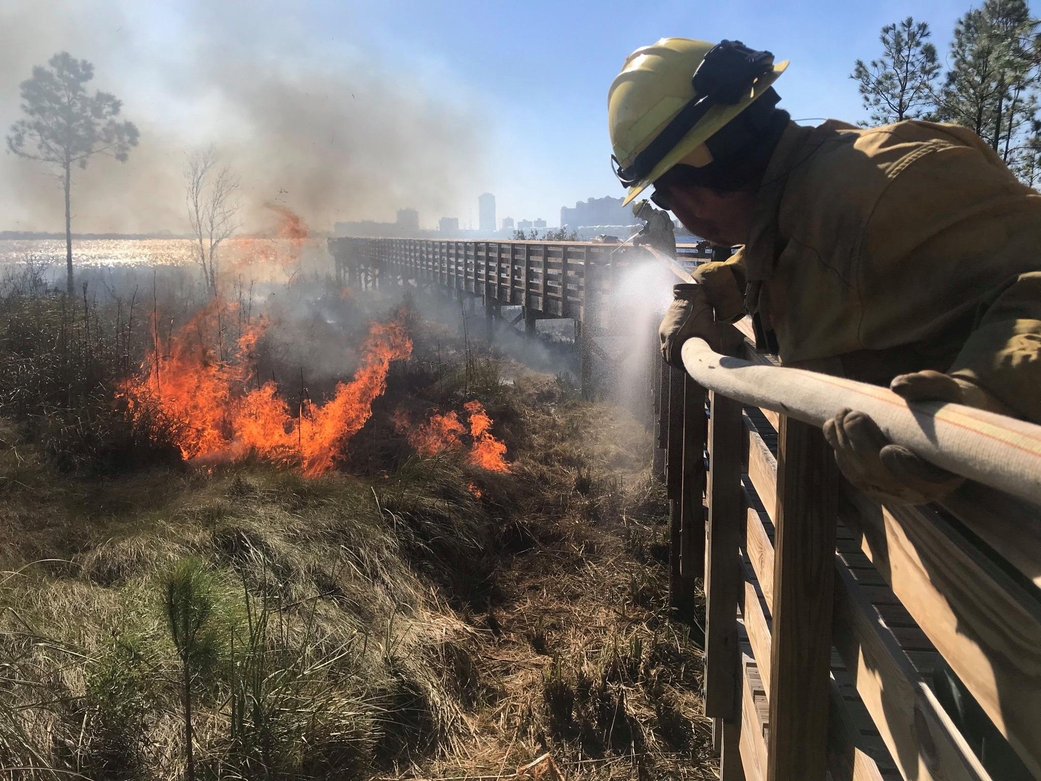 Prescribed Burn Picture 7