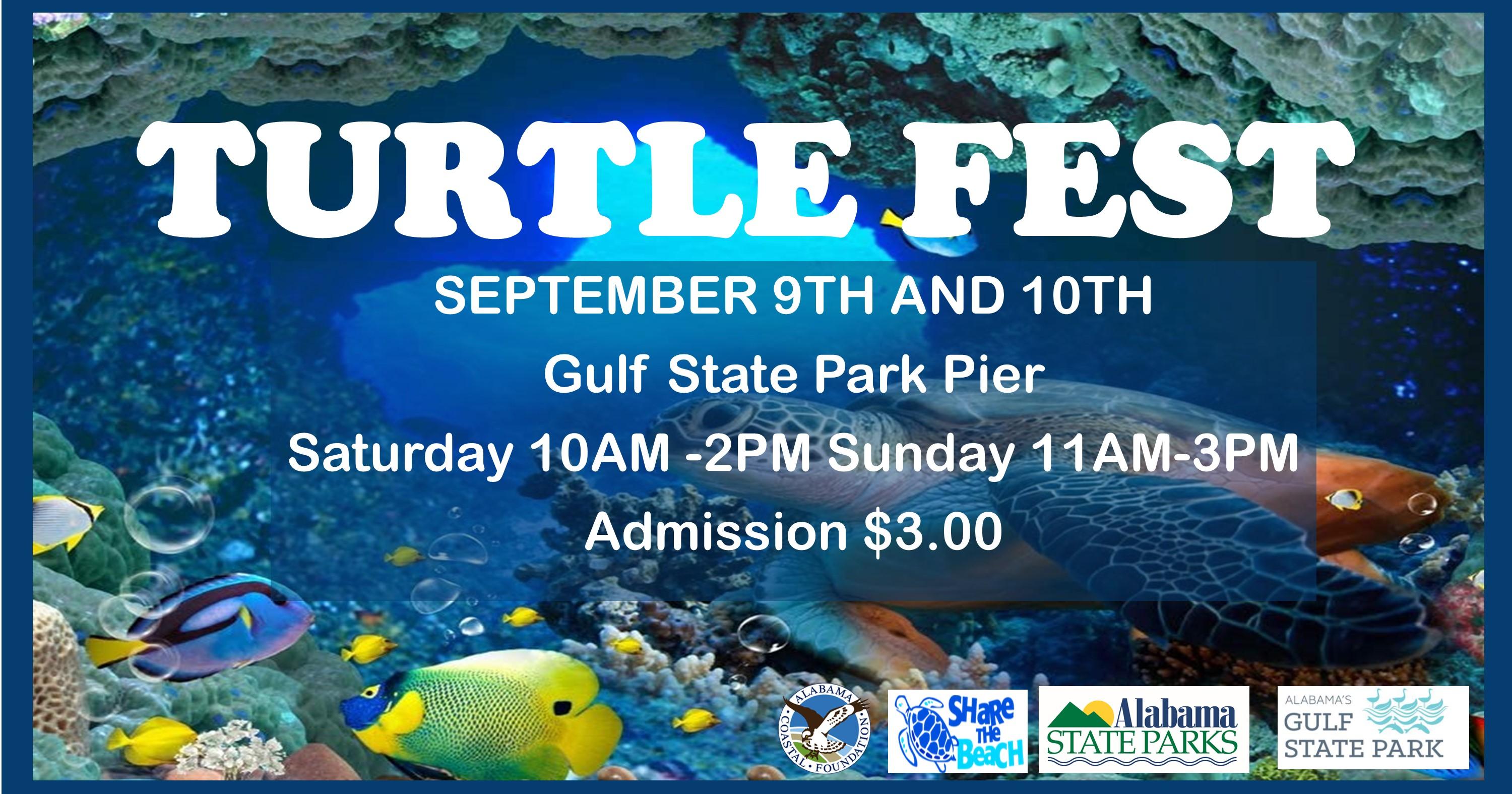 Turtle Fest 2023