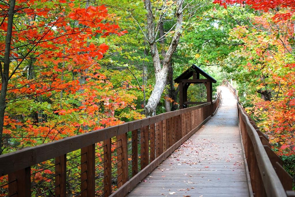 Fall Color on Display at Alabama's State Parks