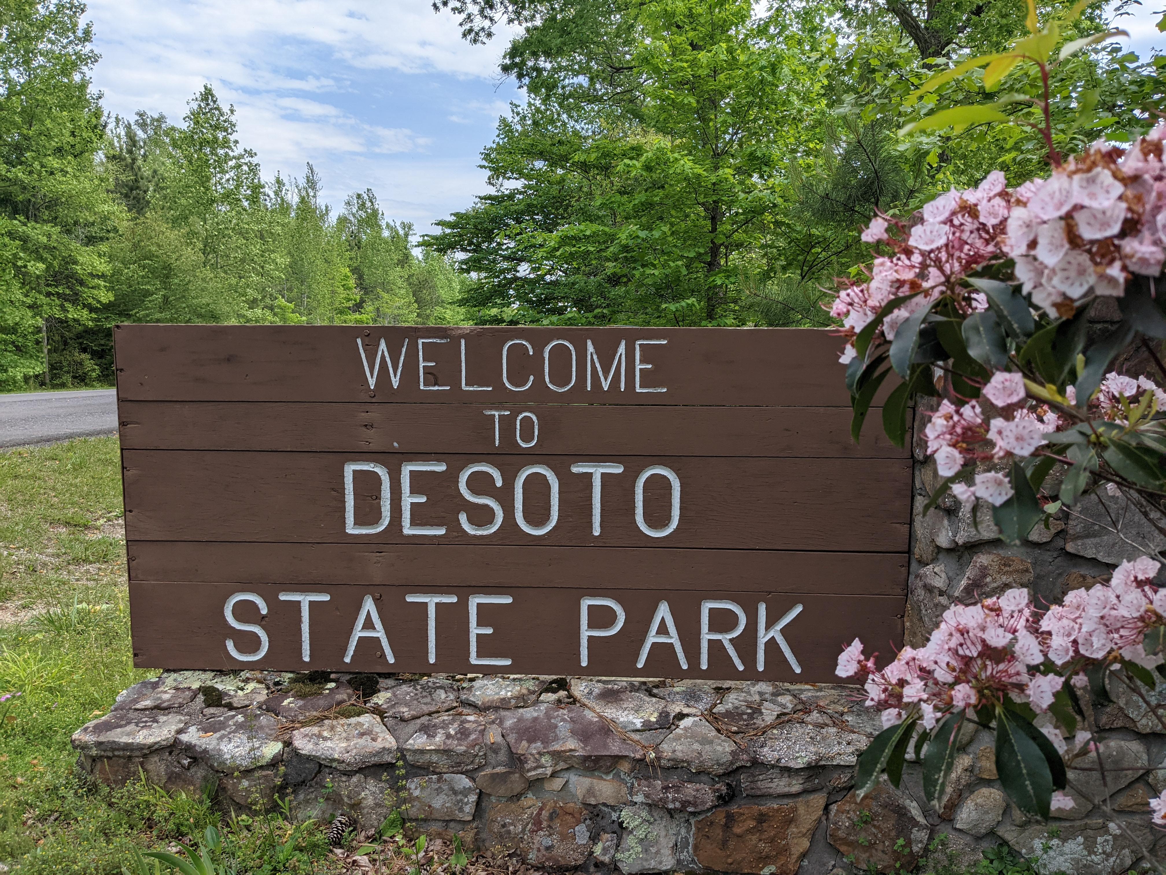DSP Sign