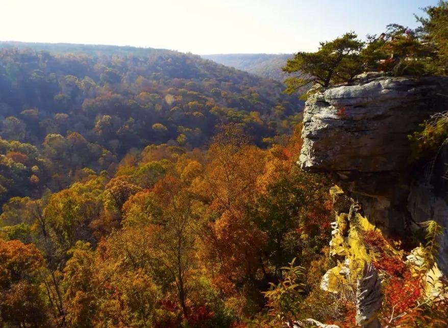 Scenic Overlook at Buck's Pocket State Park