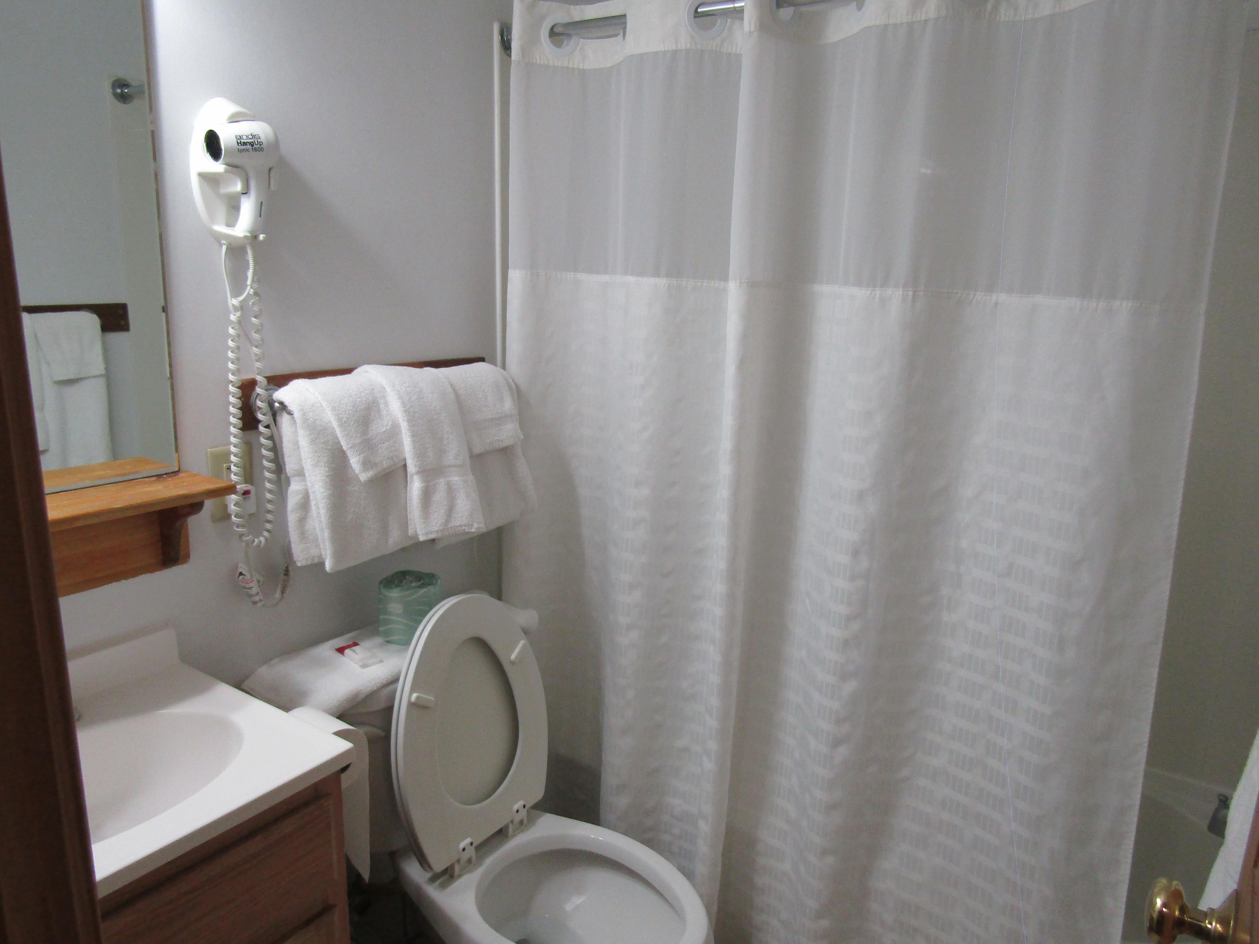 bathroom with sink, toilet, tub/shower