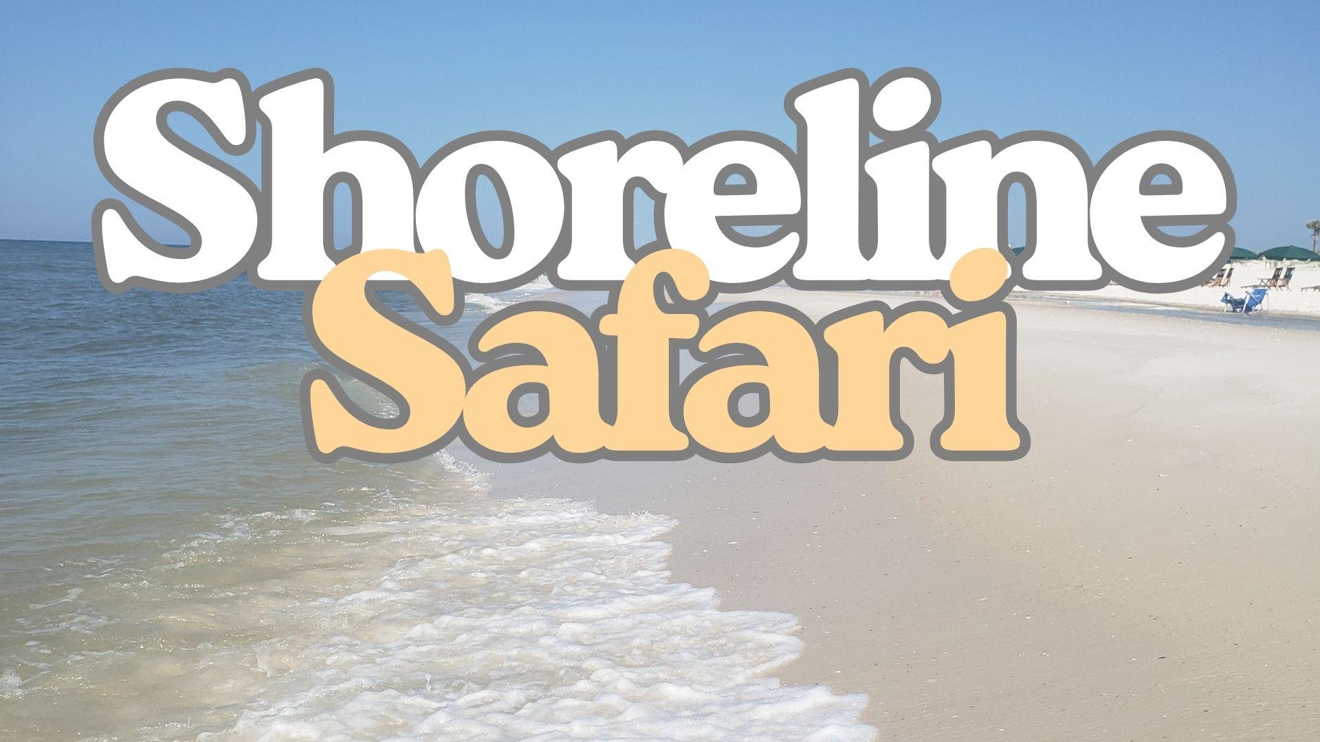 Shoreline Safari fieldtrip image