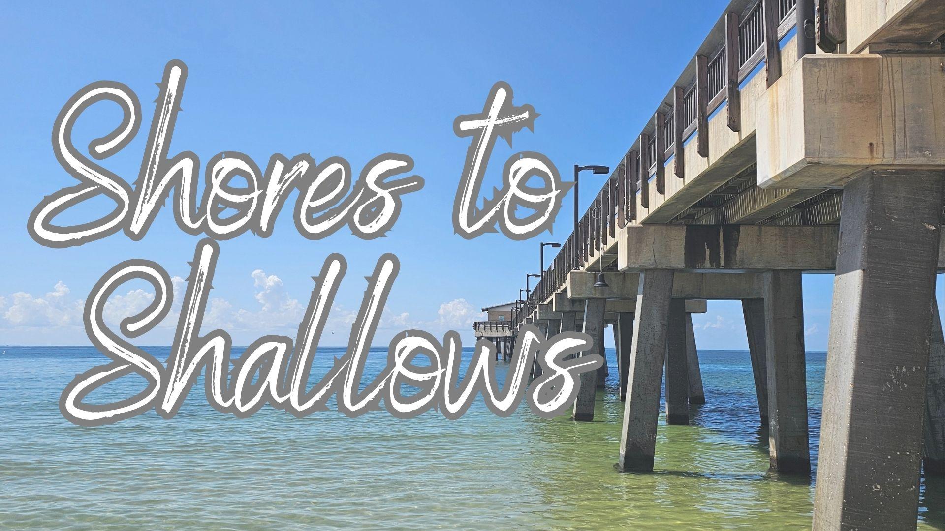 Shores to Shallows fieldtrip image