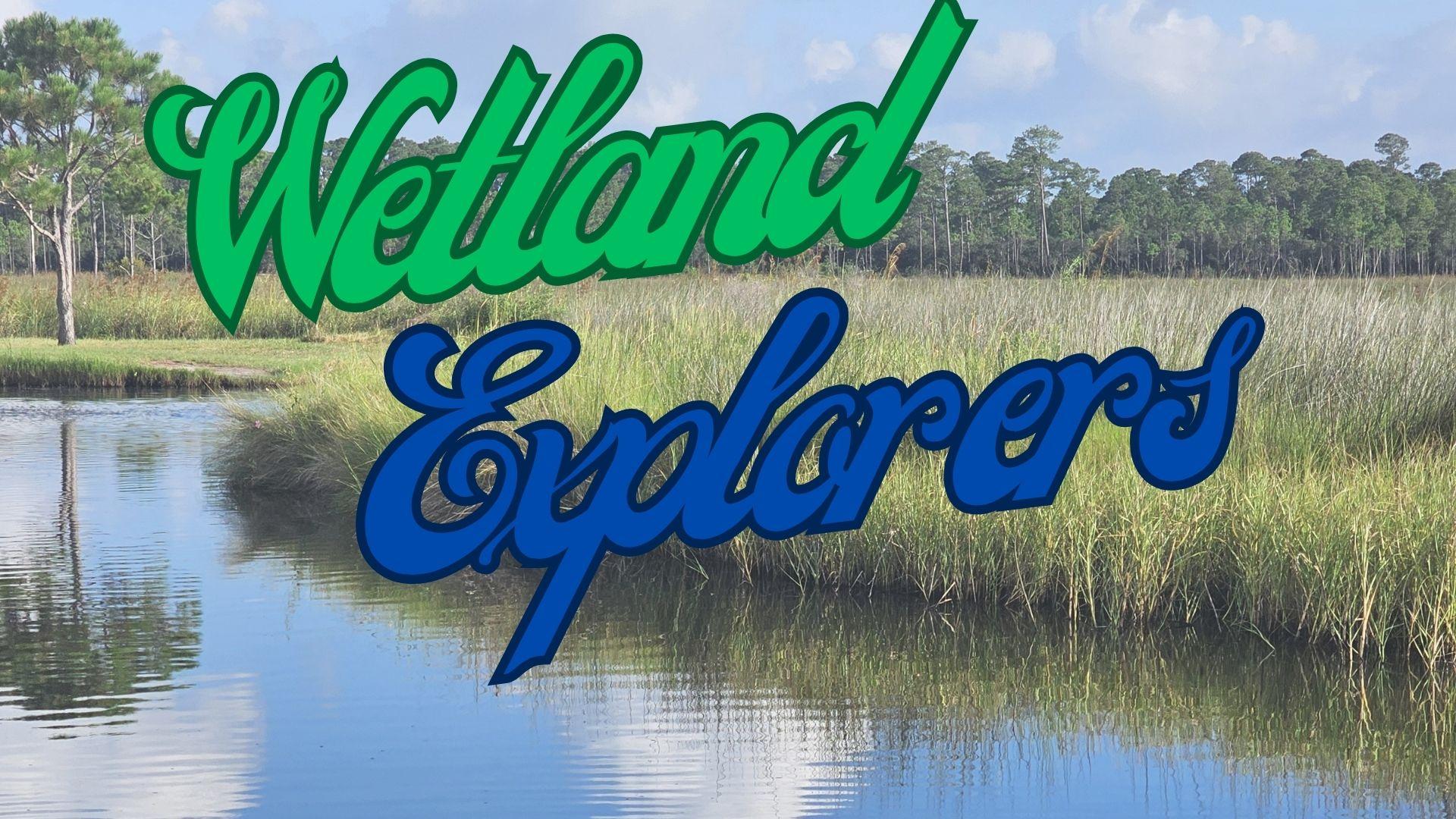 Wetland Explorers fieldtrip image