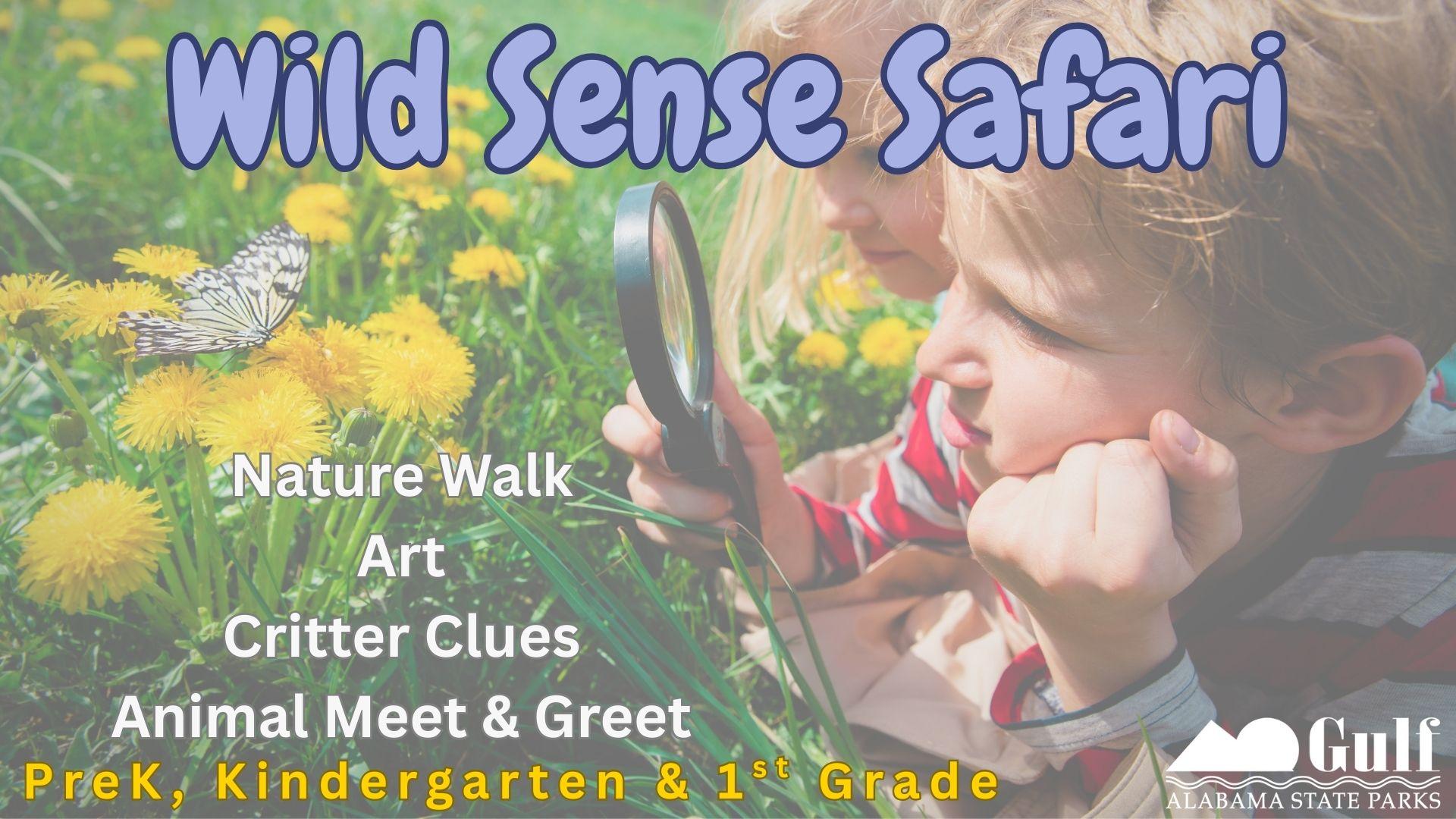Wild Sense Safari Field Trip description 